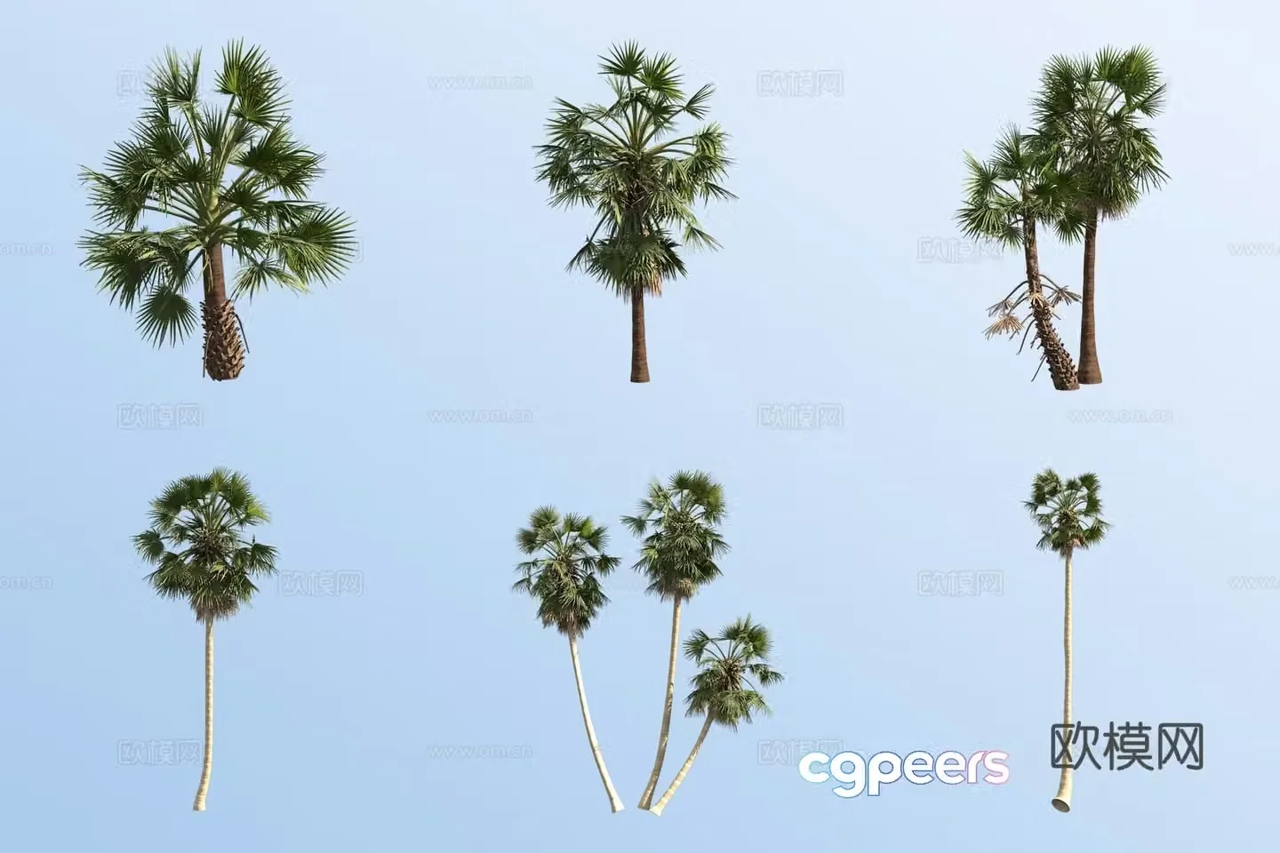 sugar palm tropical tree landscape tree palm tree 3d model
