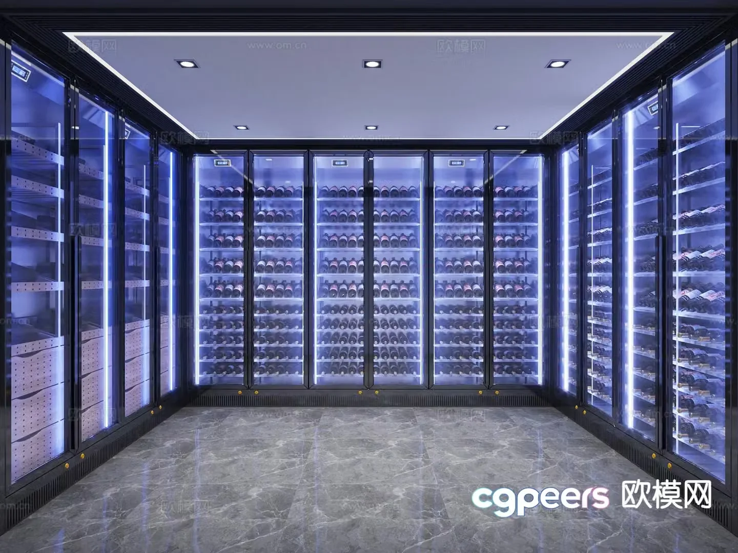 Modern red wine cellar cold room 3d model