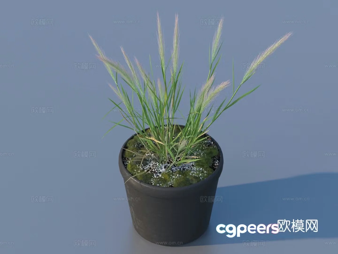 Flower pot pot green plants plant 3d model