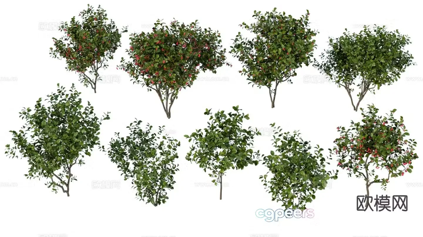 Trees Landscape Trees Garden Plant 3D Model