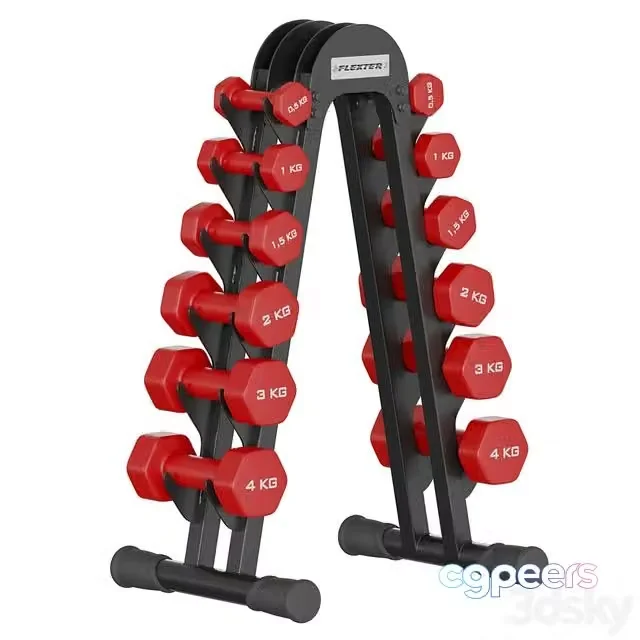 3ds Max Free – Fitness dumbbell rack for 6 pairs FLEXTER