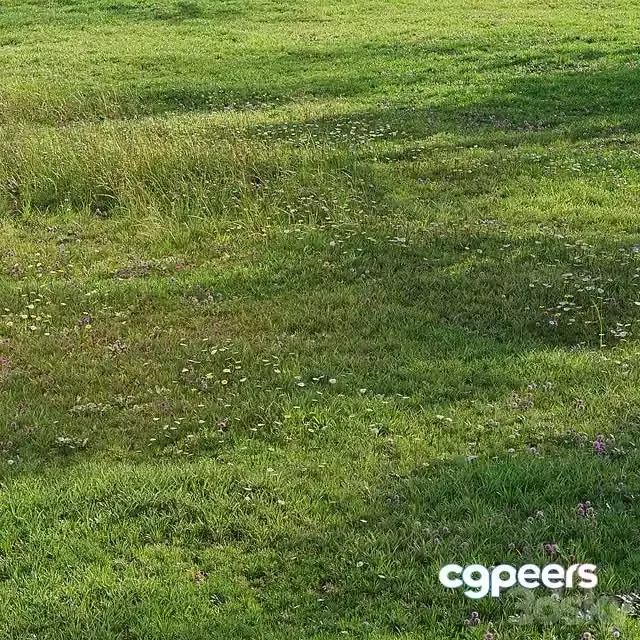 3ds Max Free – Realistic meadow grass