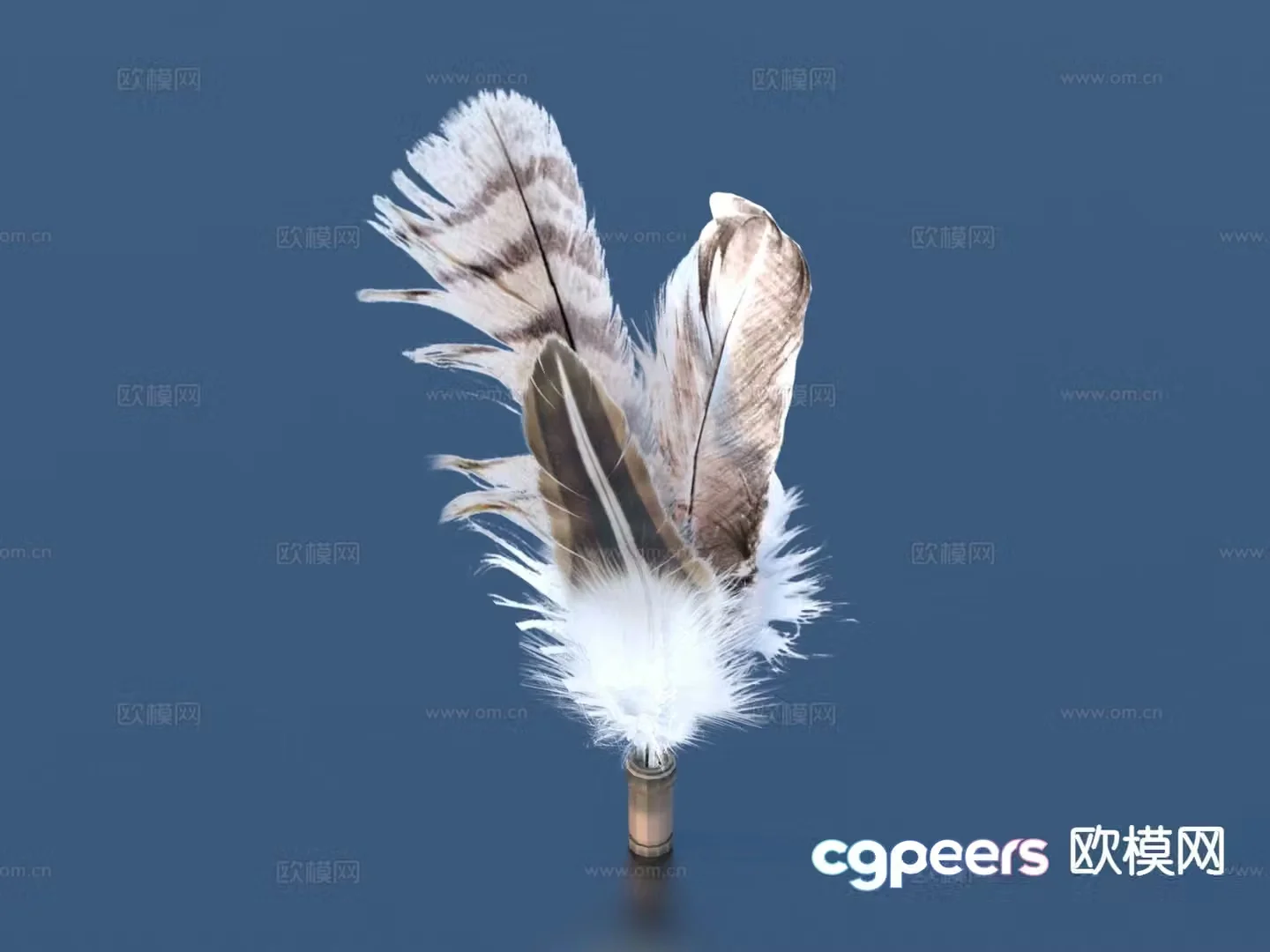 Modern feather ornament 3d model