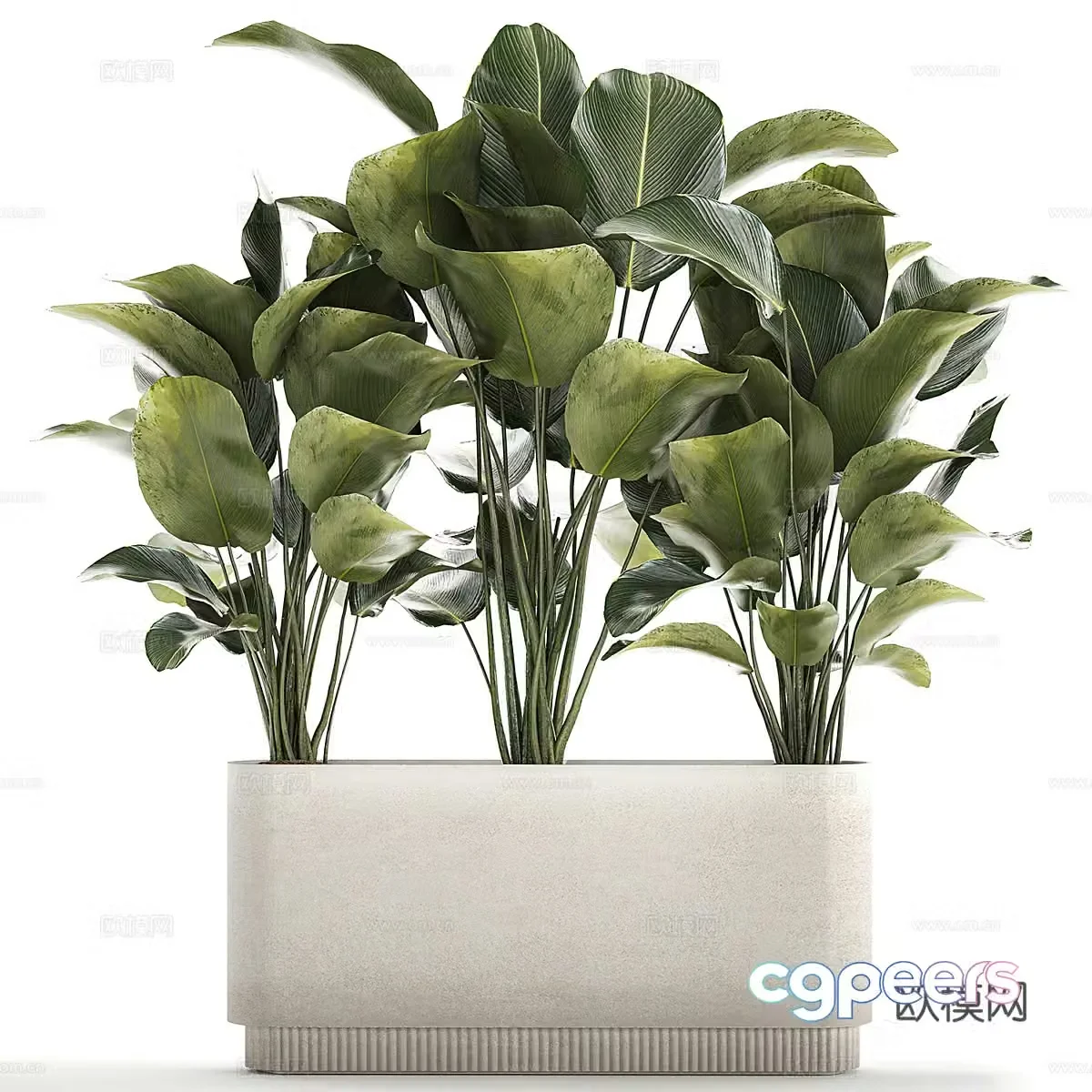 Modern green plant potted 3D model