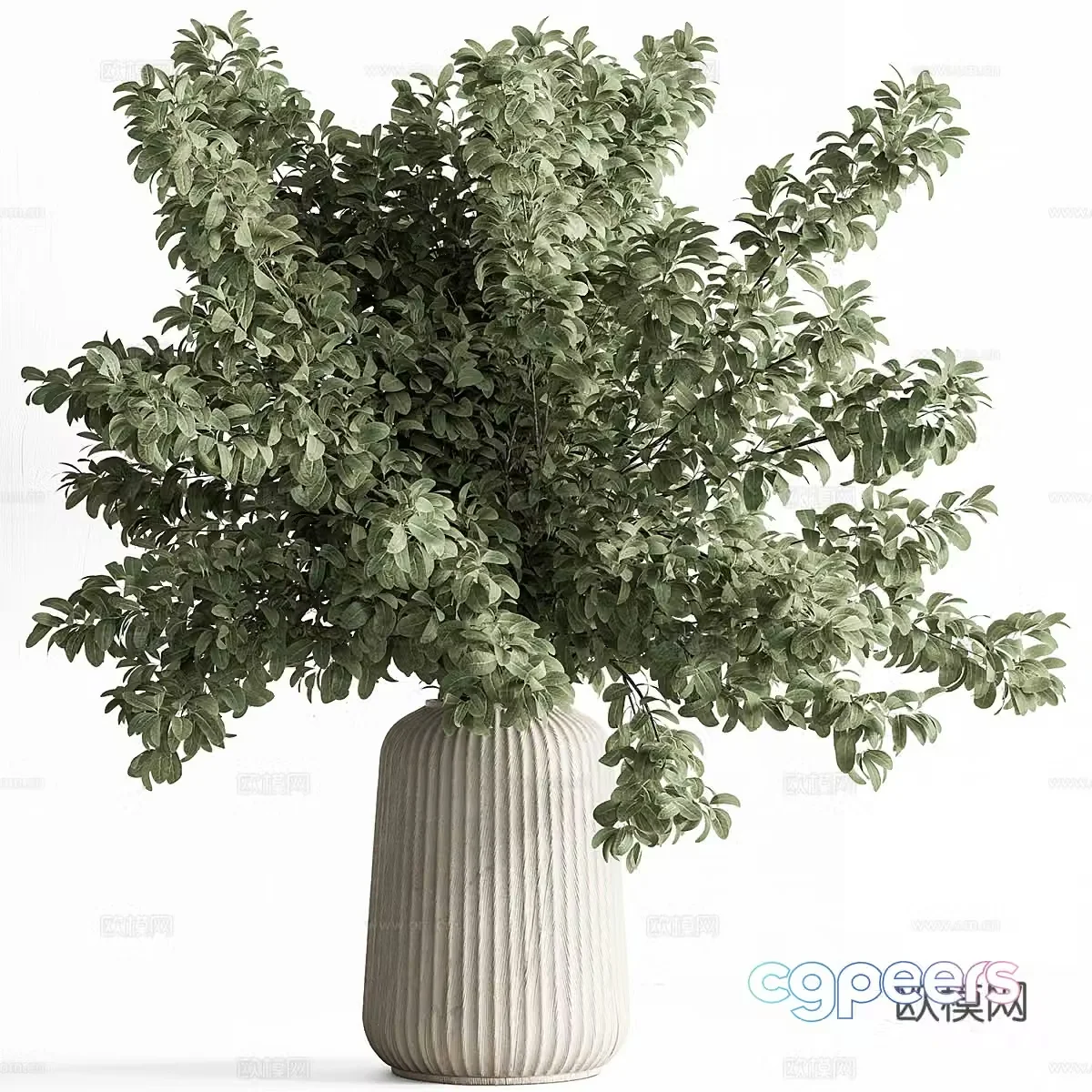 Vase flowers 3d model