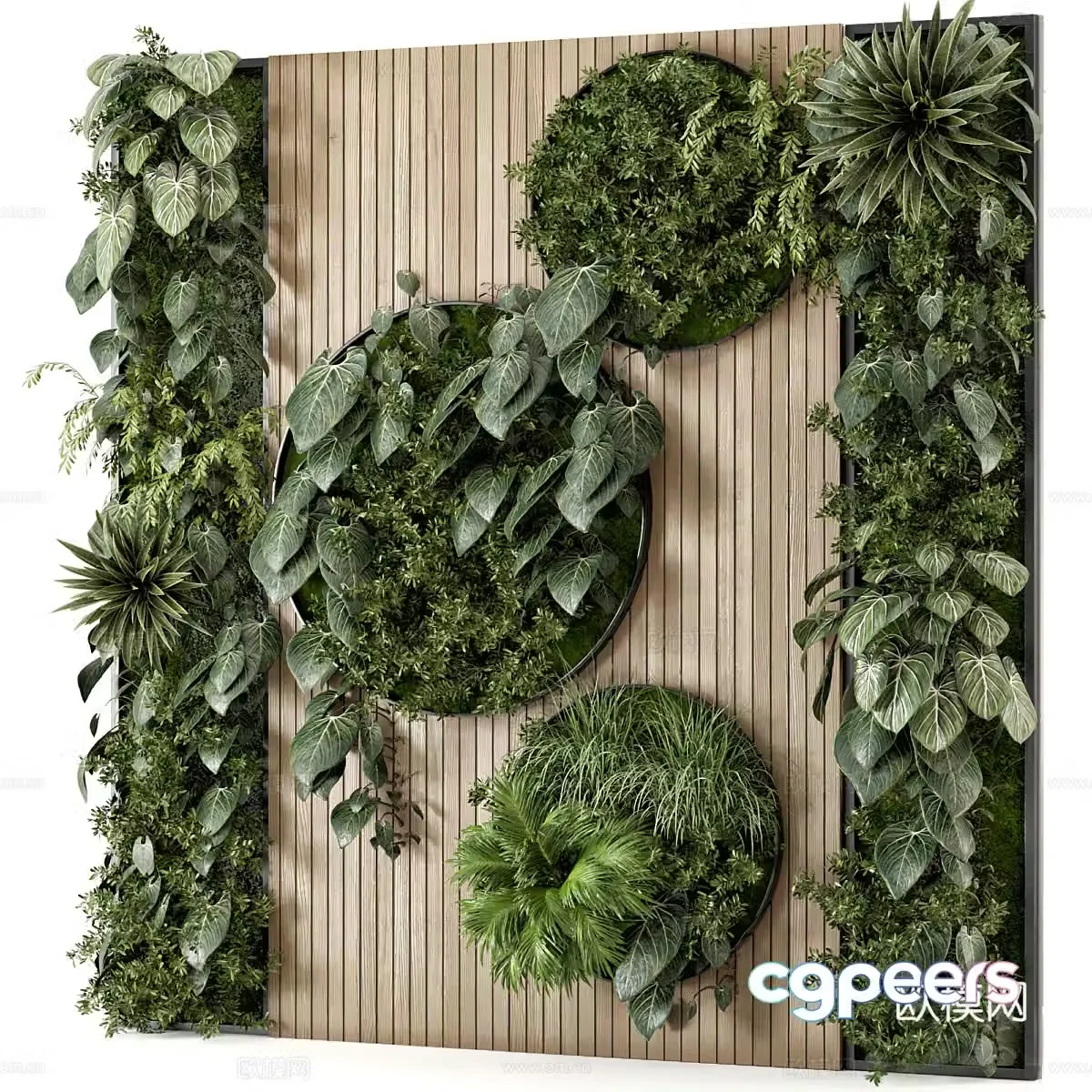 Green plant wall Green plant decorative wall Plant wall Landscape green plant wall Outdoor green plant wall Climbing 3D model