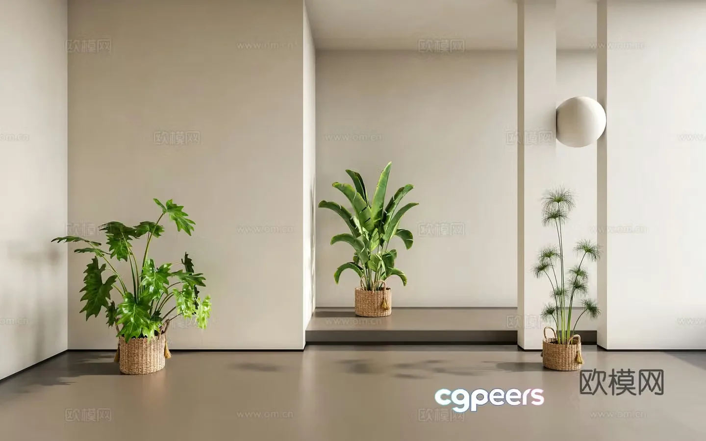 indoor potted banana leaf plant green plant 3d model