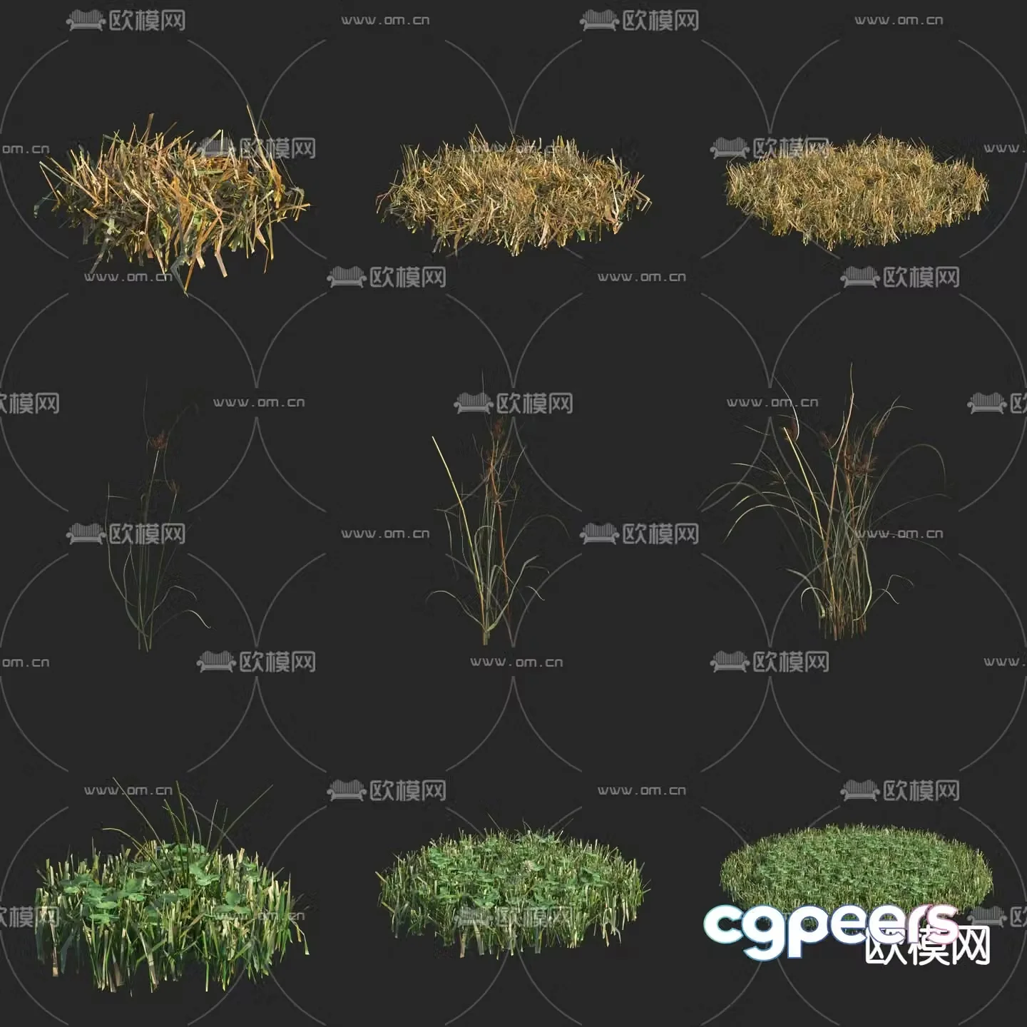 Triangular grass flowers and plants wild grass 3d model
