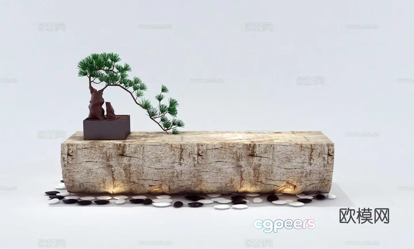Chinese old wood pine sketch 3d model