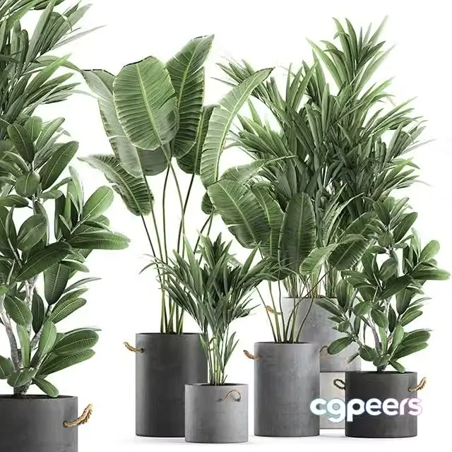 3ds Max Free – Plant Collection 595