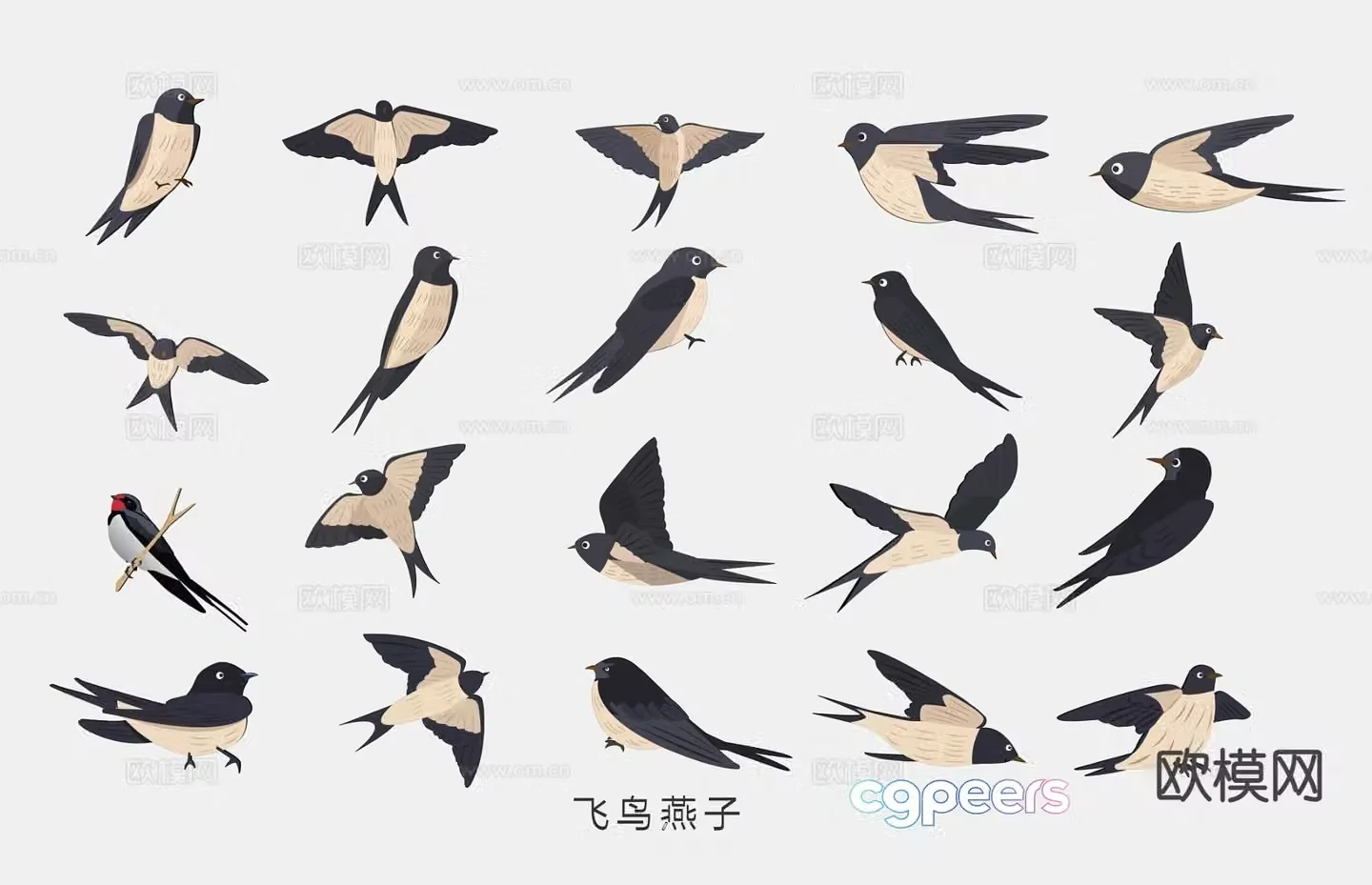 Spring swallow swallow wall decoration wall sticker illustration 3d model