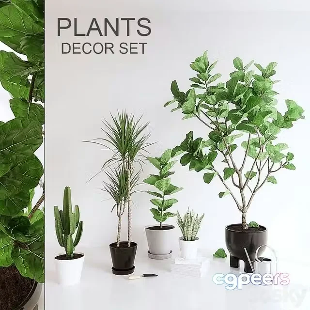 3ds Max Free – PLANTS SET (vray GGX, corona PBR)