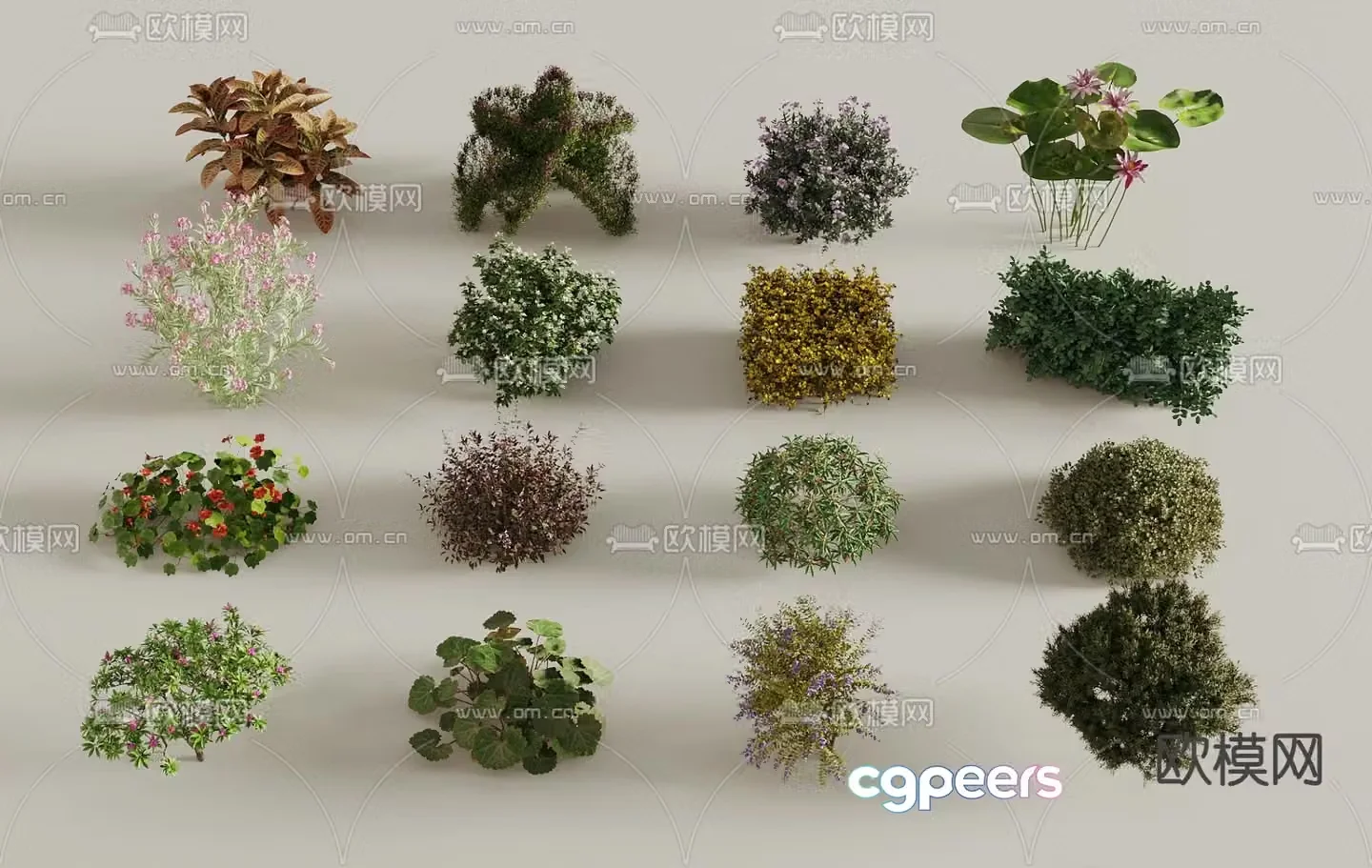 Flowers and plants 3d model