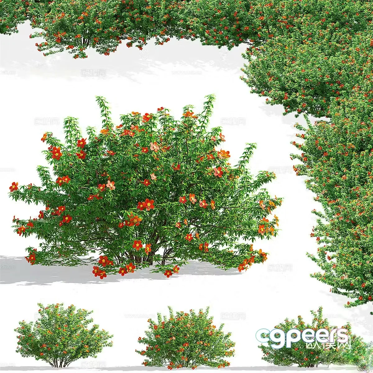 Flowers plants green plants 3d model