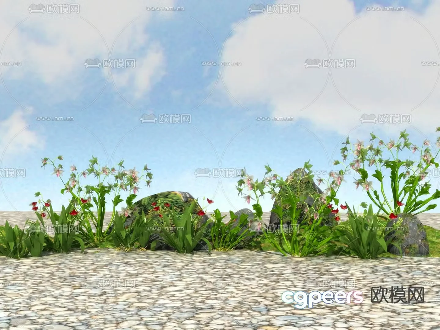 Flowers and plants Wildflowers 3D model