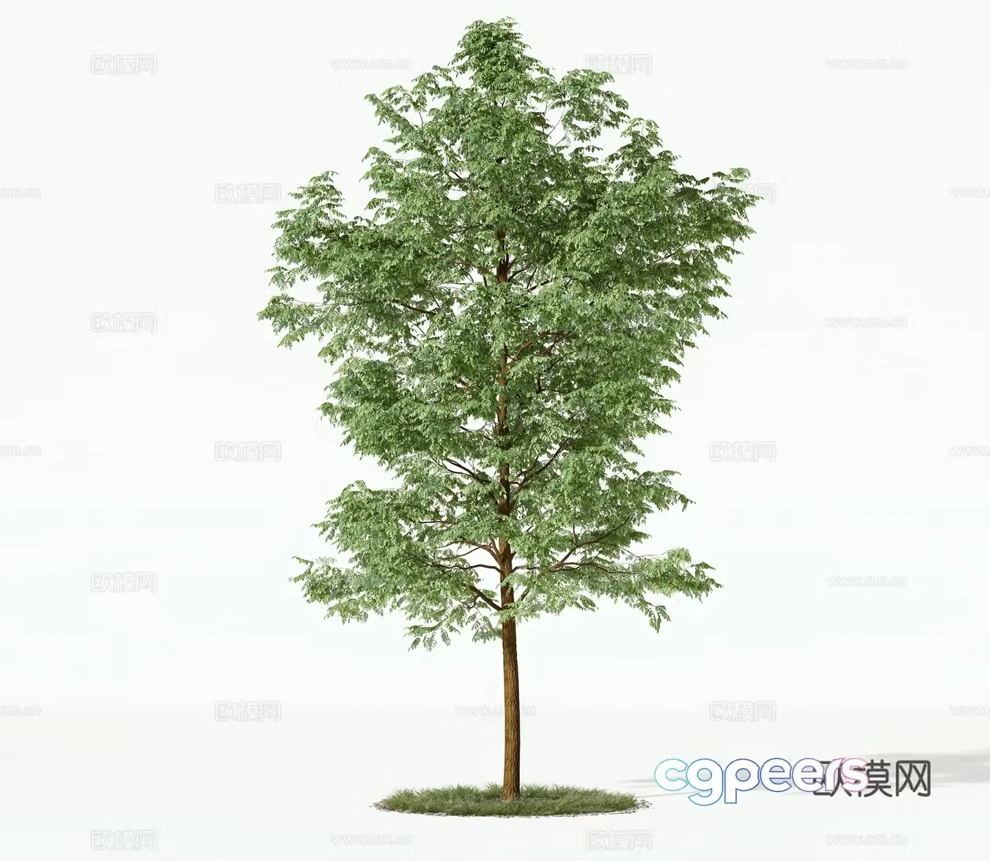 Modern trees landscape tree 3d model