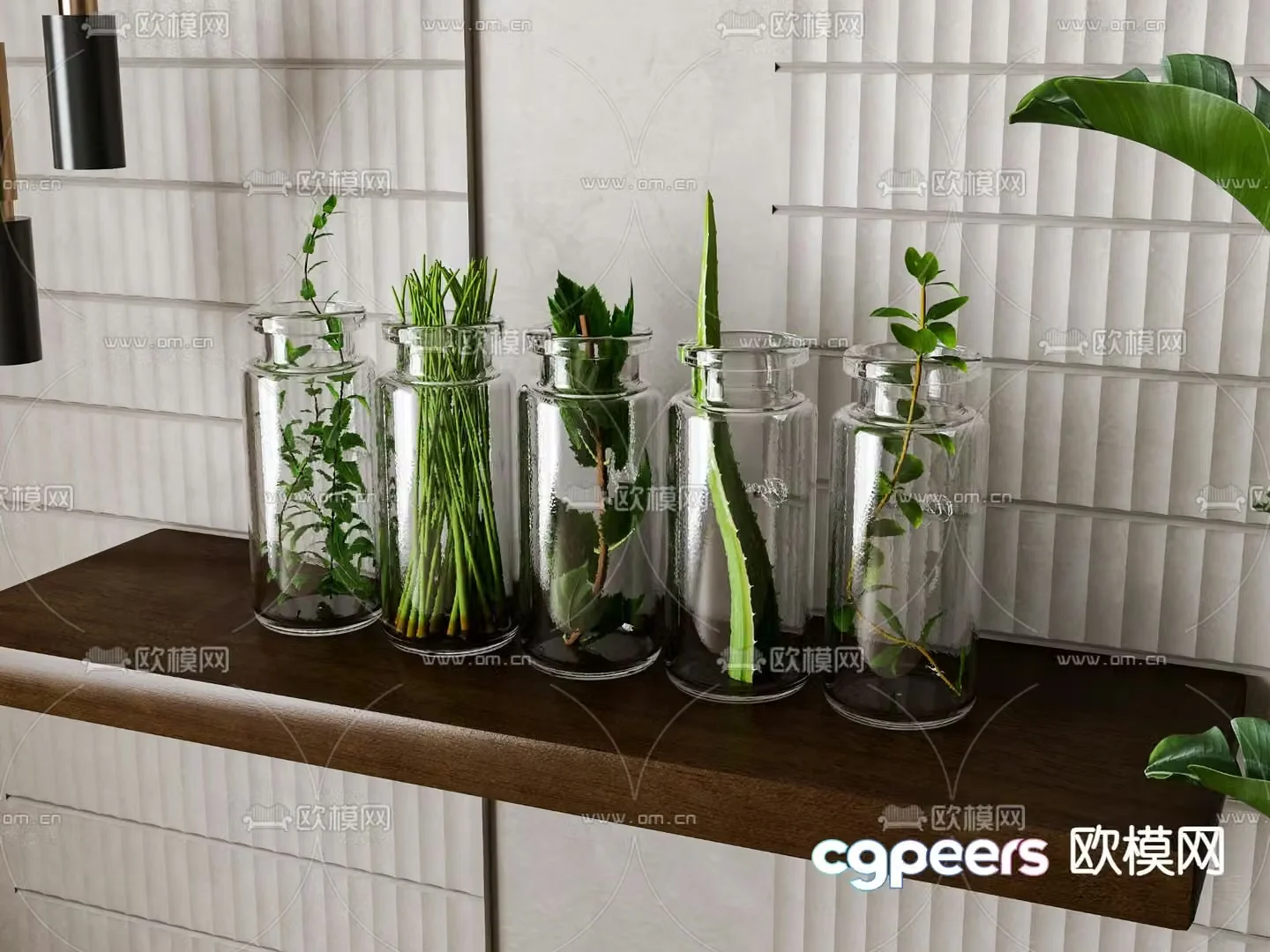 Aquatic plants hydroponic green plants 3D model