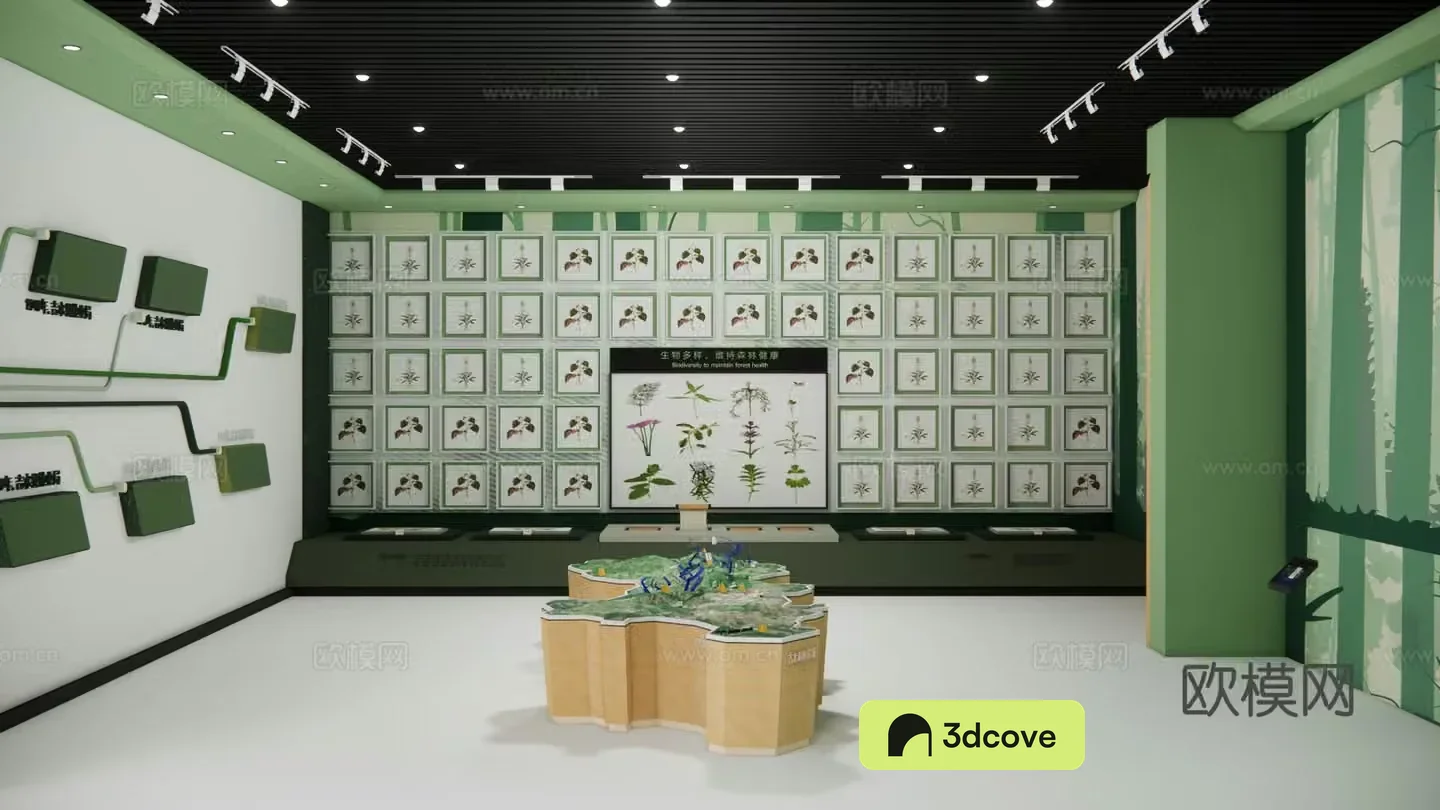 Modern Specimen Exhibition Hall Plant Medicinal Specimen