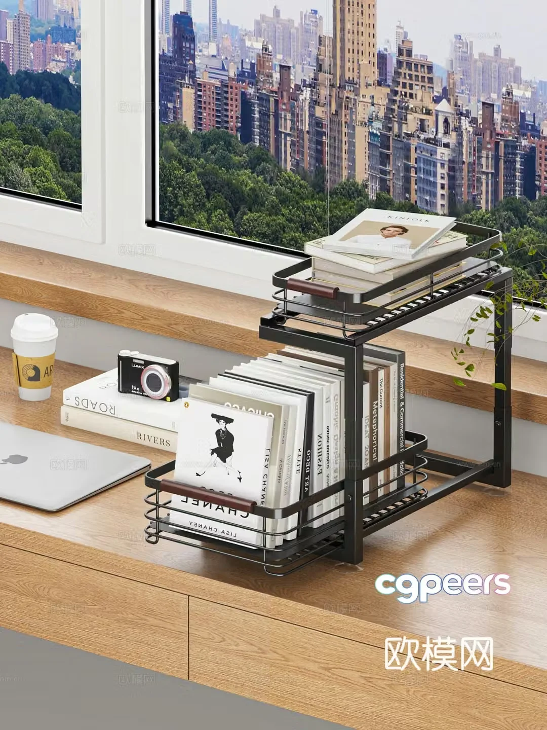 Now book shelf 3D model