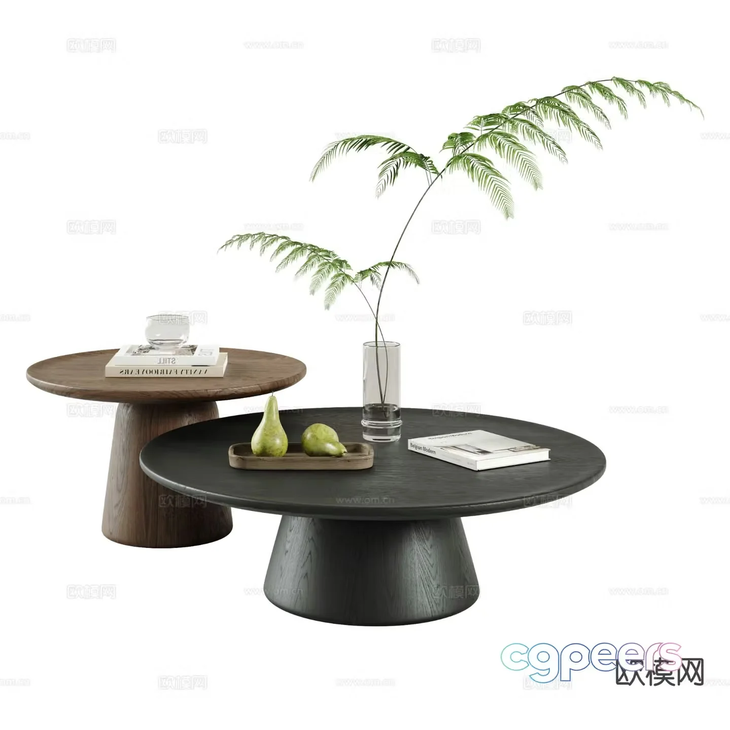 Modern double coffee table 3d model