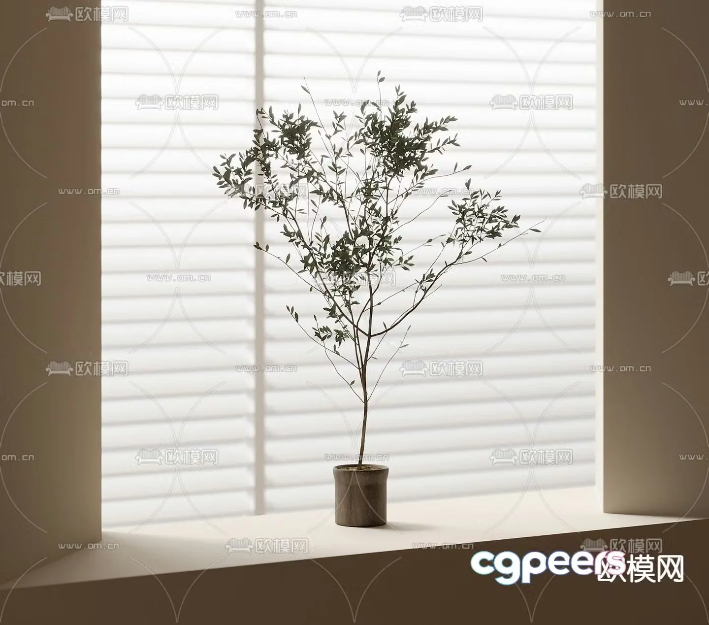 Green plants bonsai potted plants 3D model