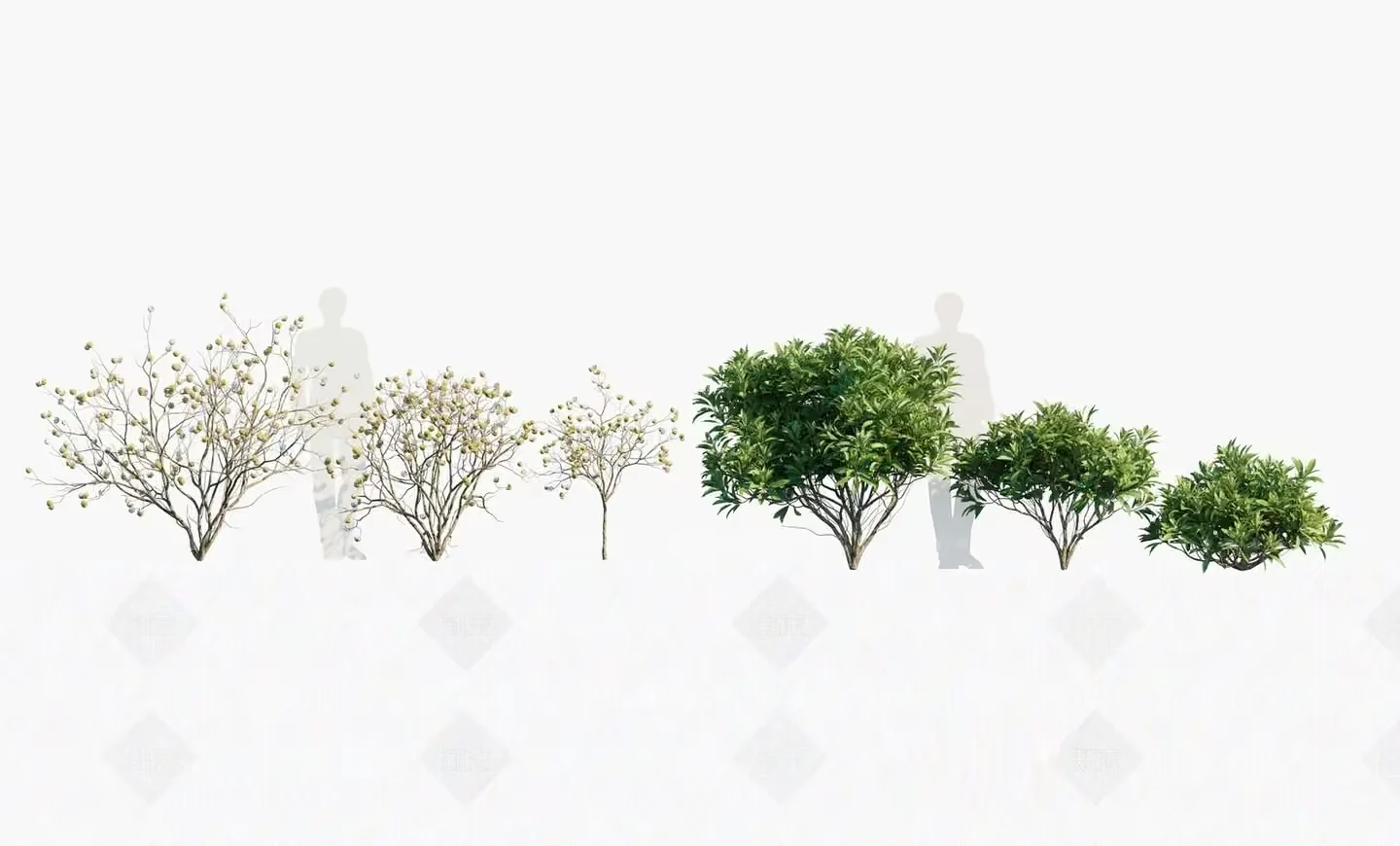 The Main Subject Is A Person Standing Behind A Row Of Trees 3D Model – 17694 – VRAY Render