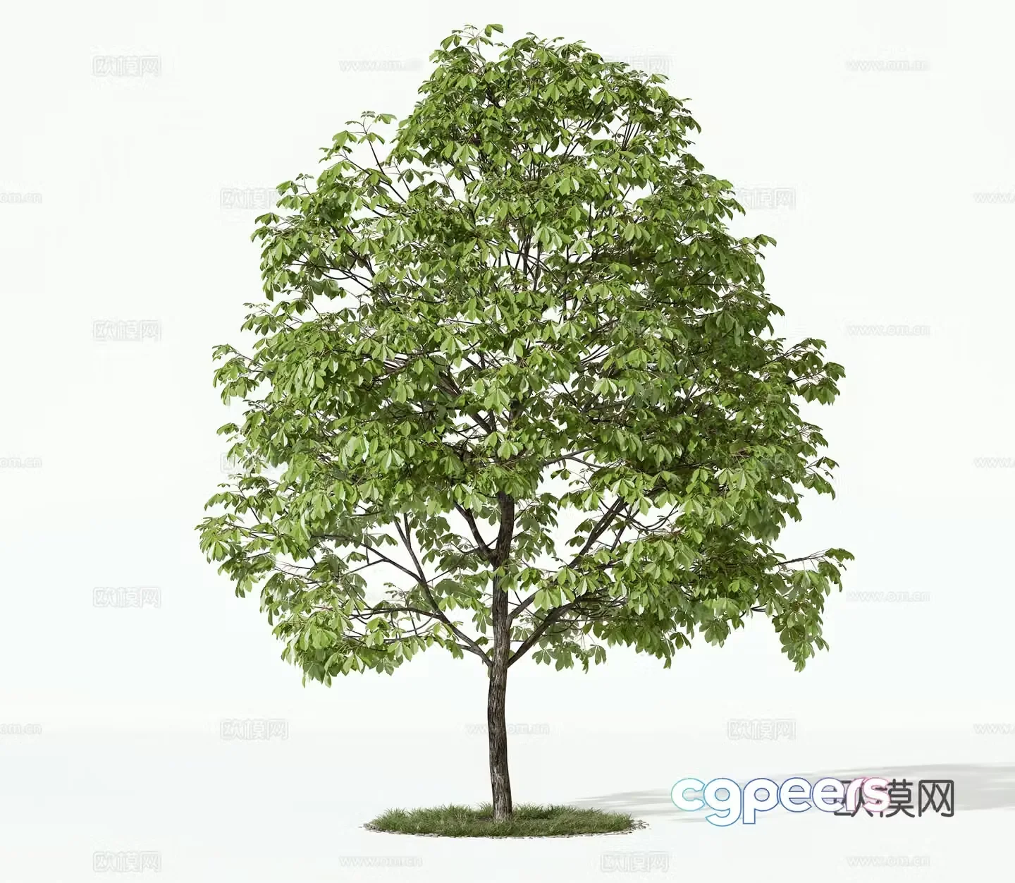modern trees 3d model