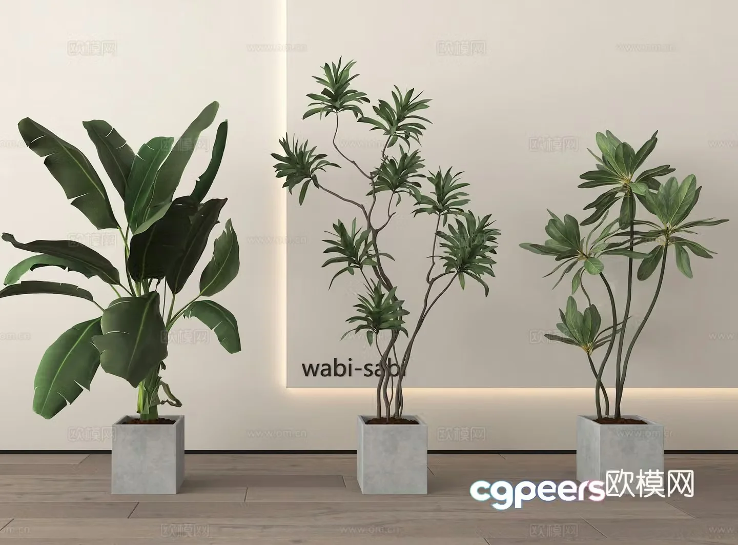 Modern potted plants bonsai green plants 3d model