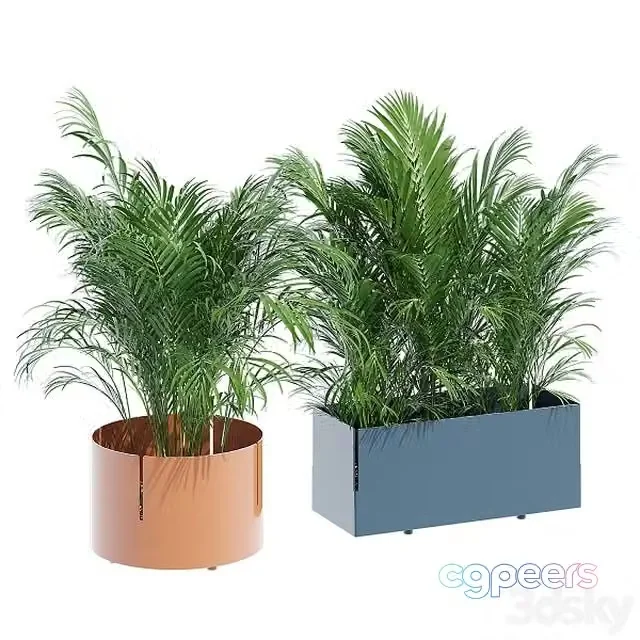 3ds Max Free – Robertirattan, plant