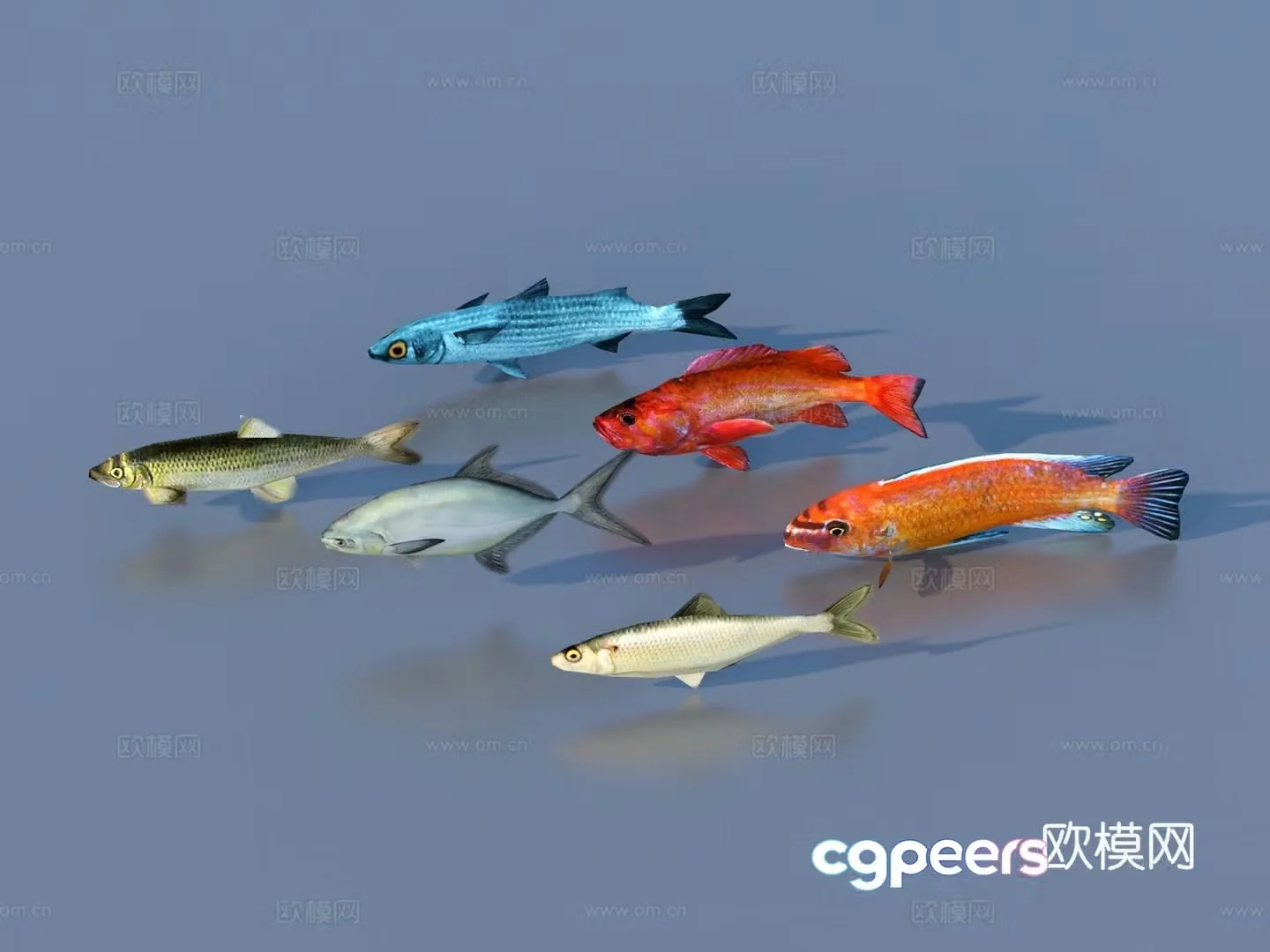 Fish Freshwater Fish Sea Fish Animal Game Animal 3d Model