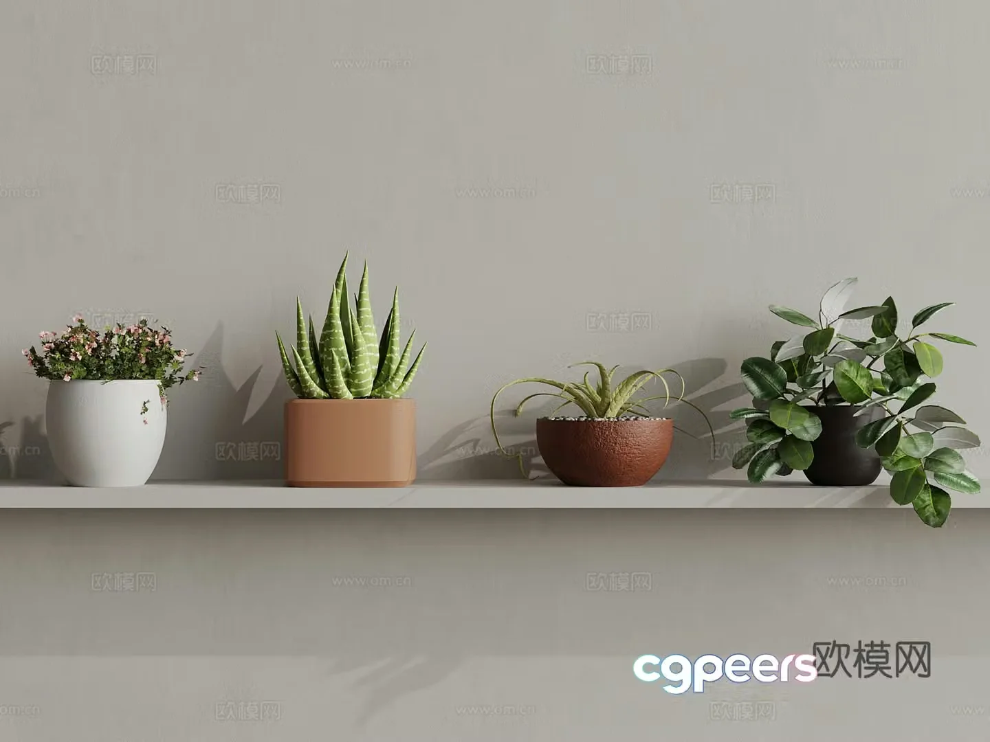Modern desktop pot plant 3d model