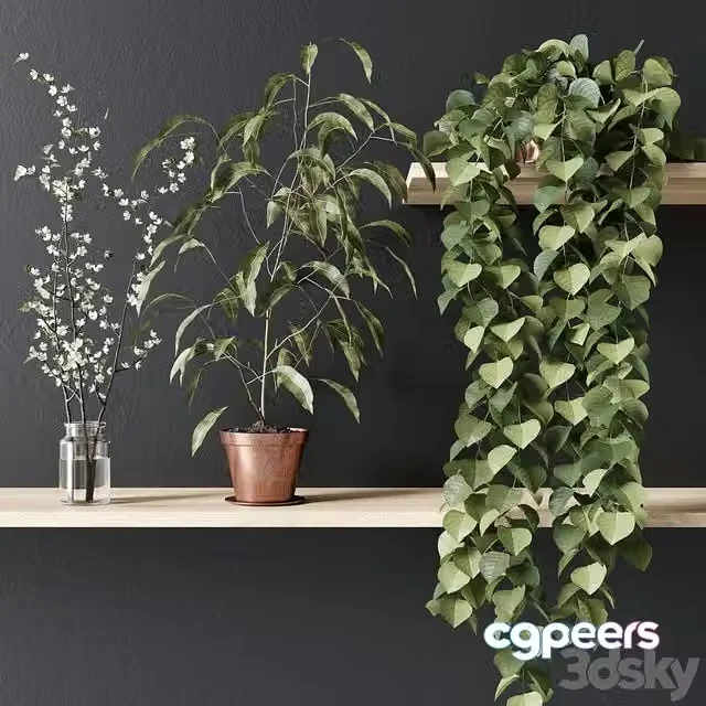 3ds Max Free – PLANT_002