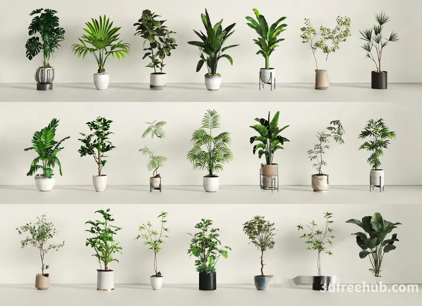 Green House Plants 3D Model – 21790 – VRAY Render