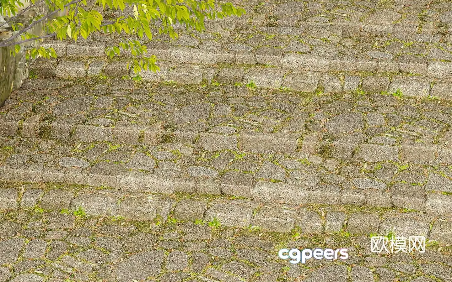 Steps Moss Road Small Road Stone Road 3D Model