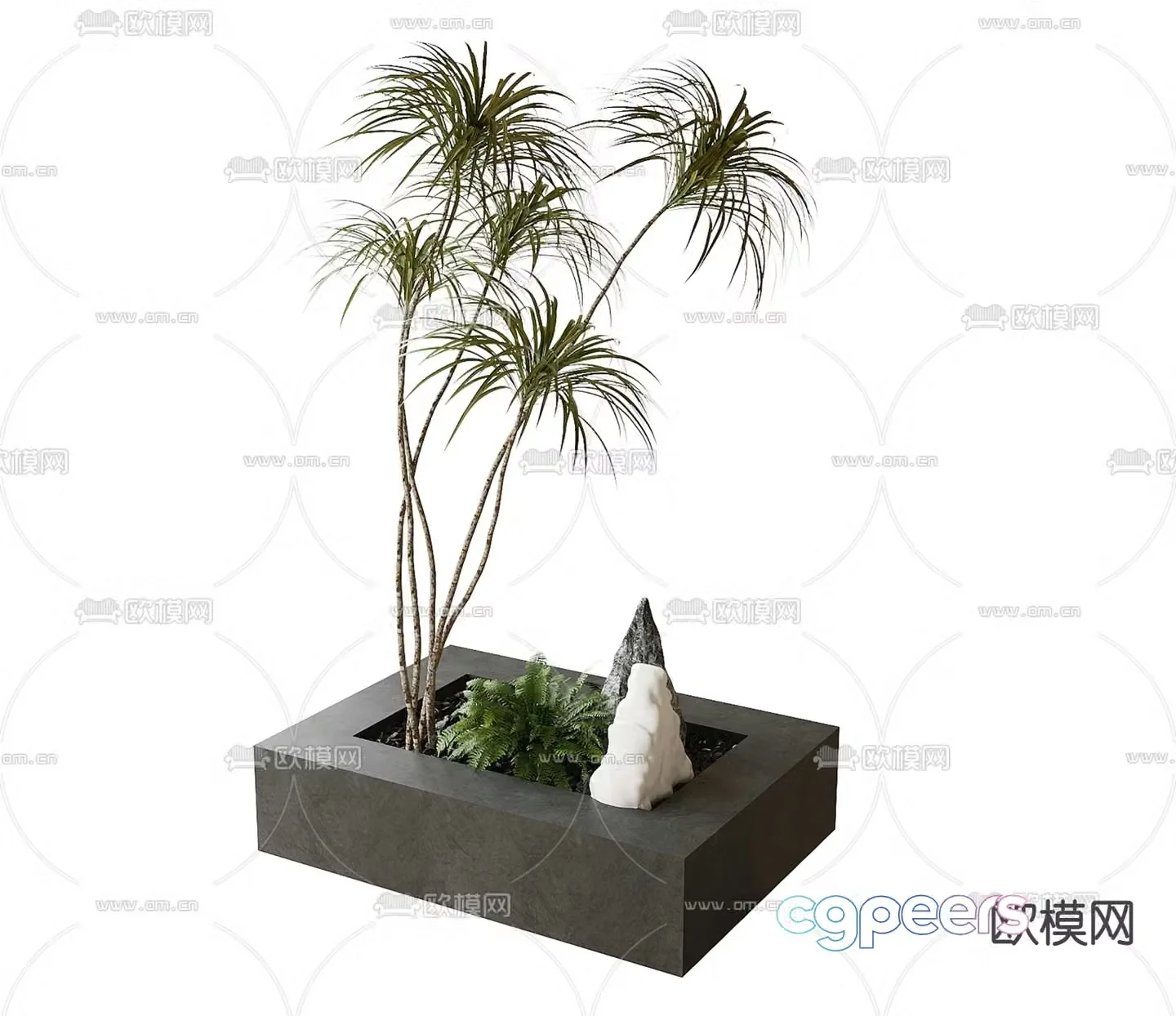 Fern flower bed potted plant 3d model