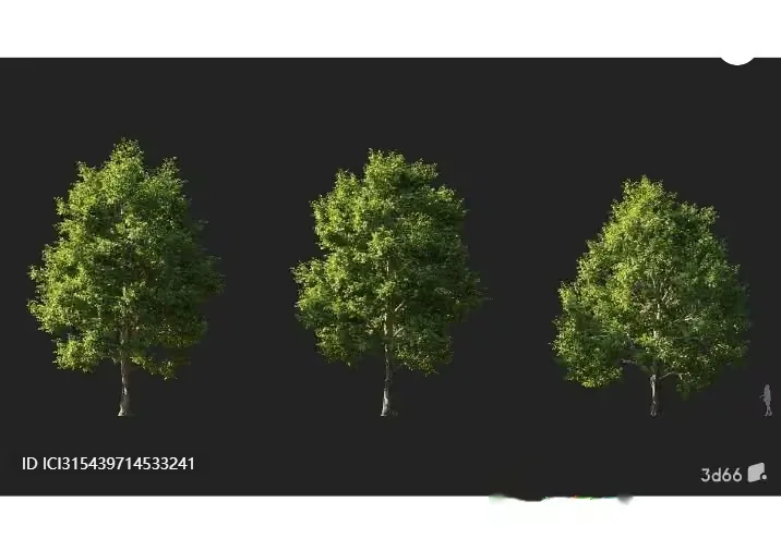 Trees With Green Leaves 3D Model – 7284 – VRAY Render