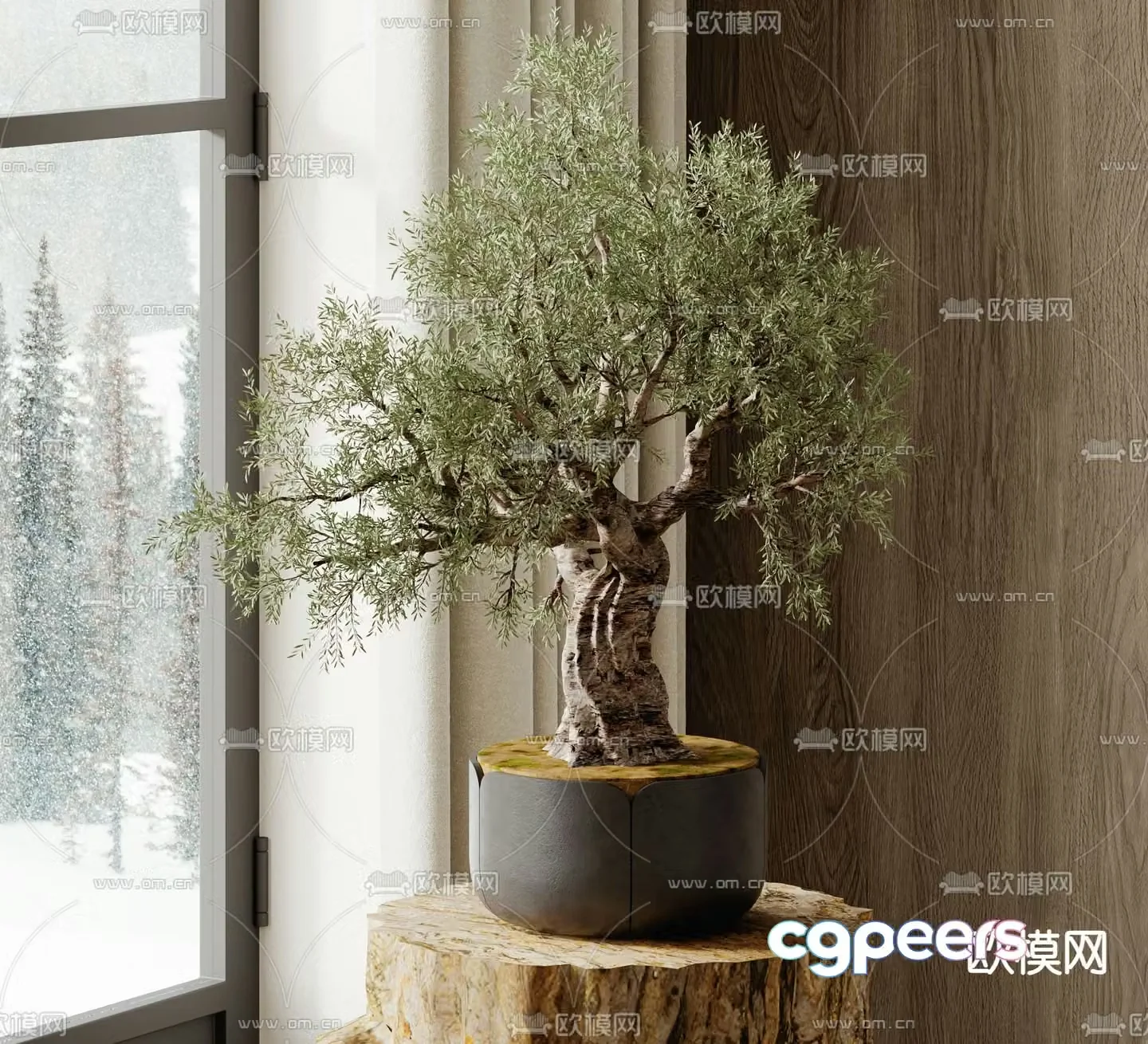 Potted plants Bonsai Green plants 3D model