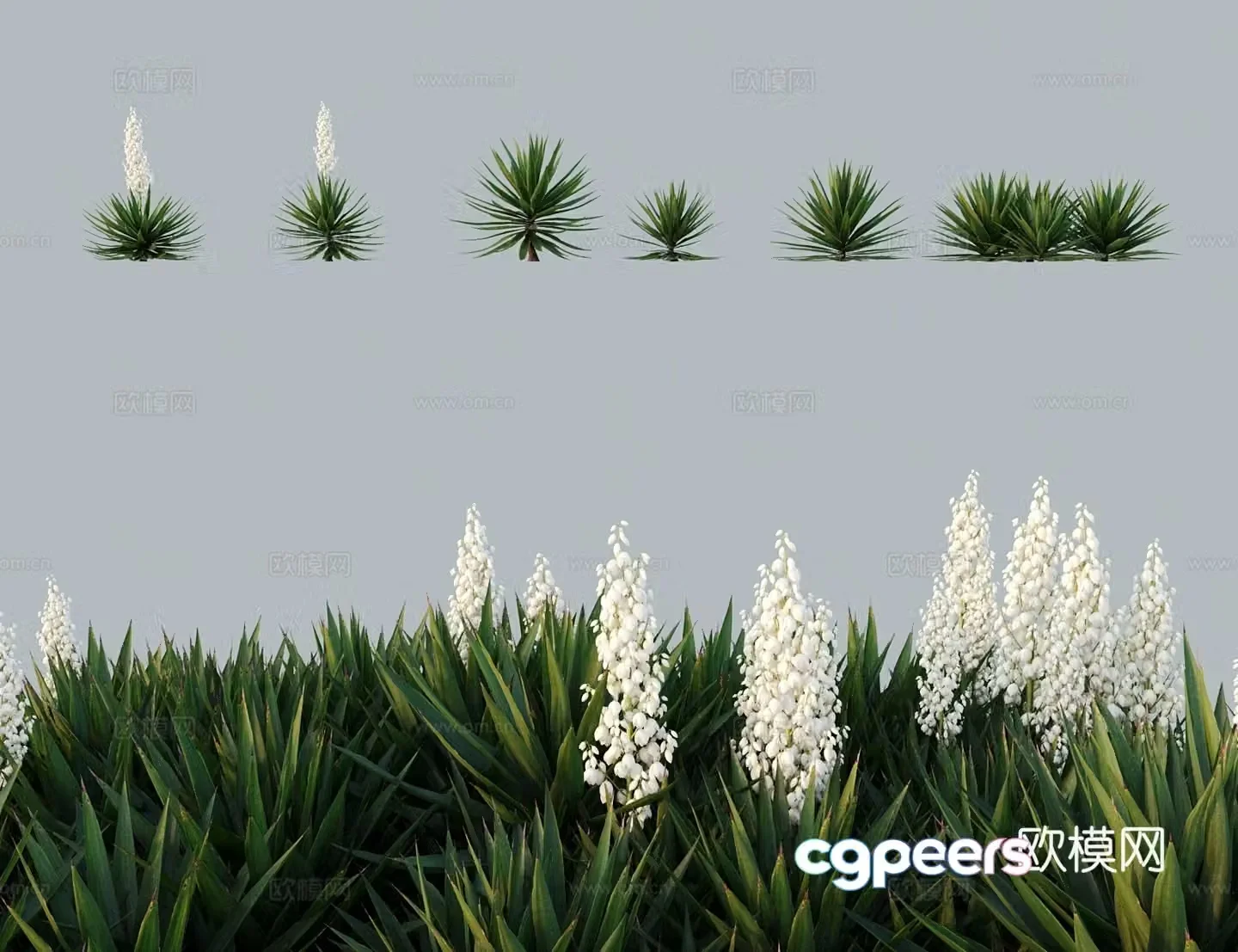 Modern tree bush sarcophagus sarcophagus sarcophagus sarcophagus sarcophagus sarcophagus sarcophagus sarcophagus sarcophagus sarcophagus sarcophagus sarcophagus sarcophagus sarcophagus 3D model