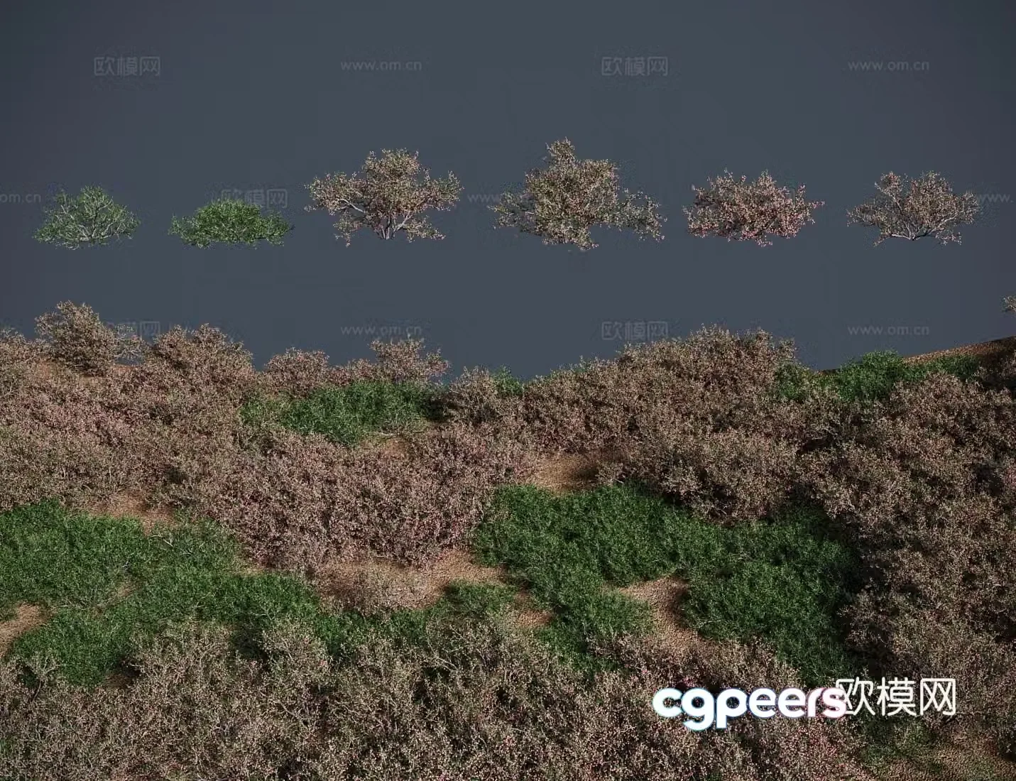 3D model of Dachshunda meadow shrub