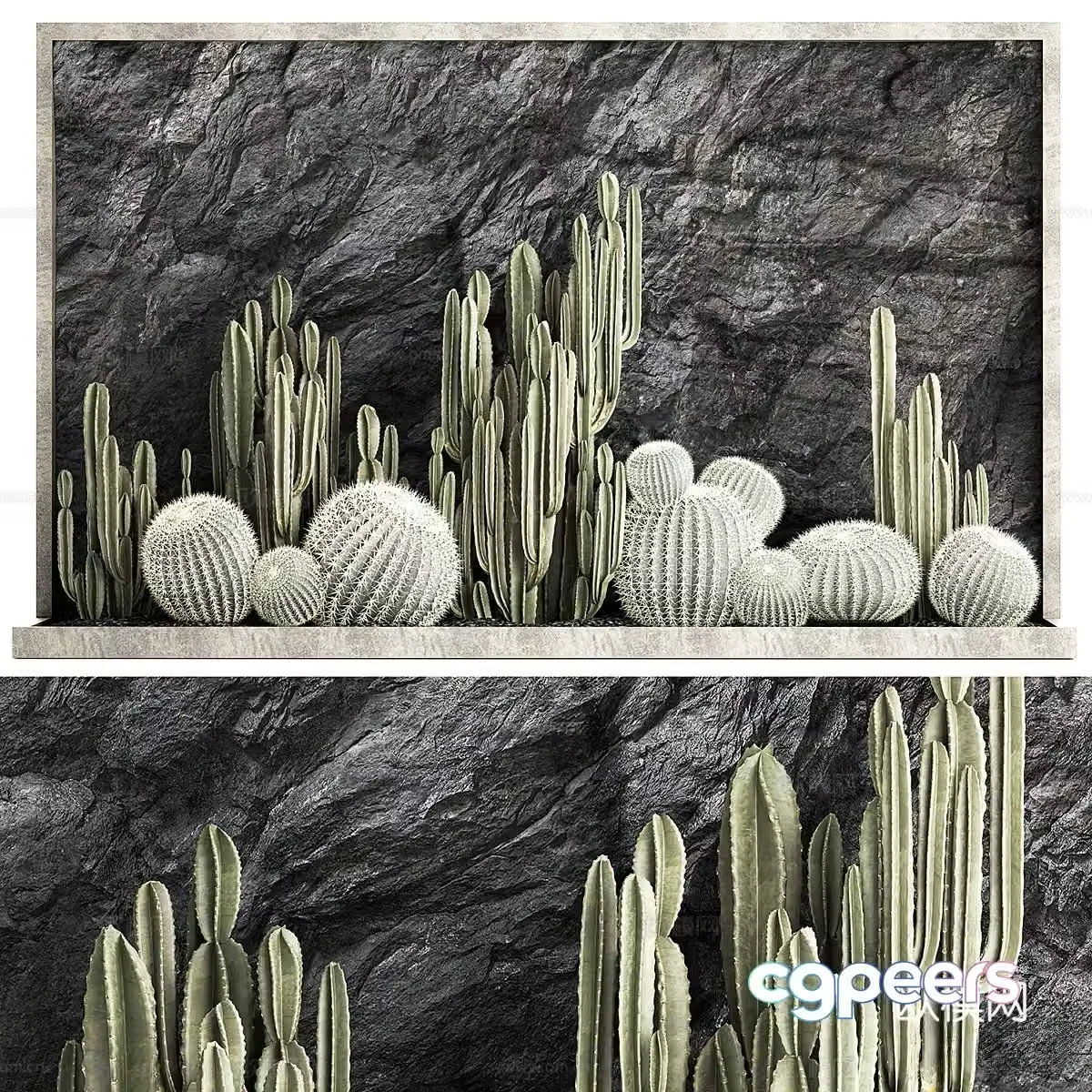 Modern cactus plant pile 3d model
