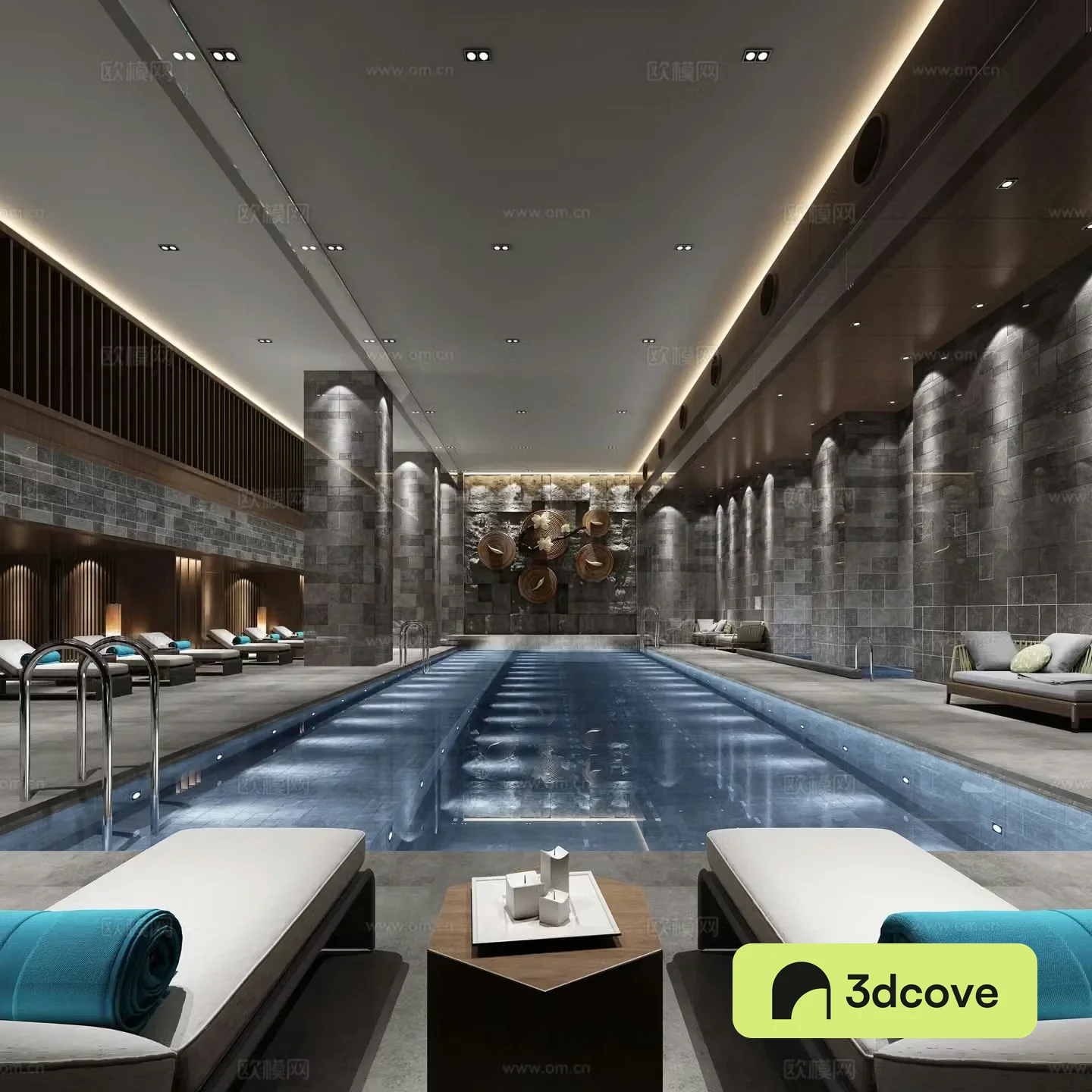 Modern swimming pool spa