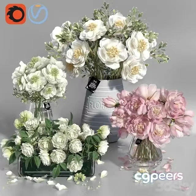 3ds Max Free – White and Pink tone Peonies cement concrete glass Vases