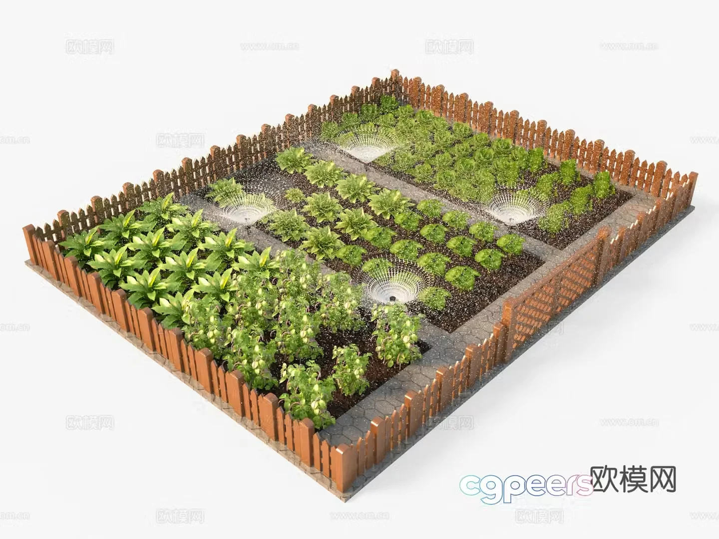 Vegetable field vegetable garden sprinkler head vegetable 3d model
