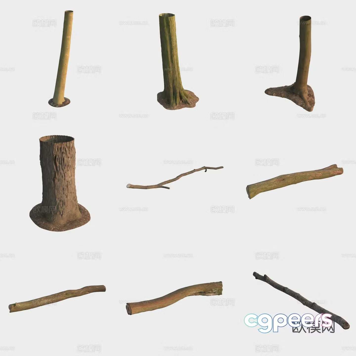 3d model of trunk branches stump