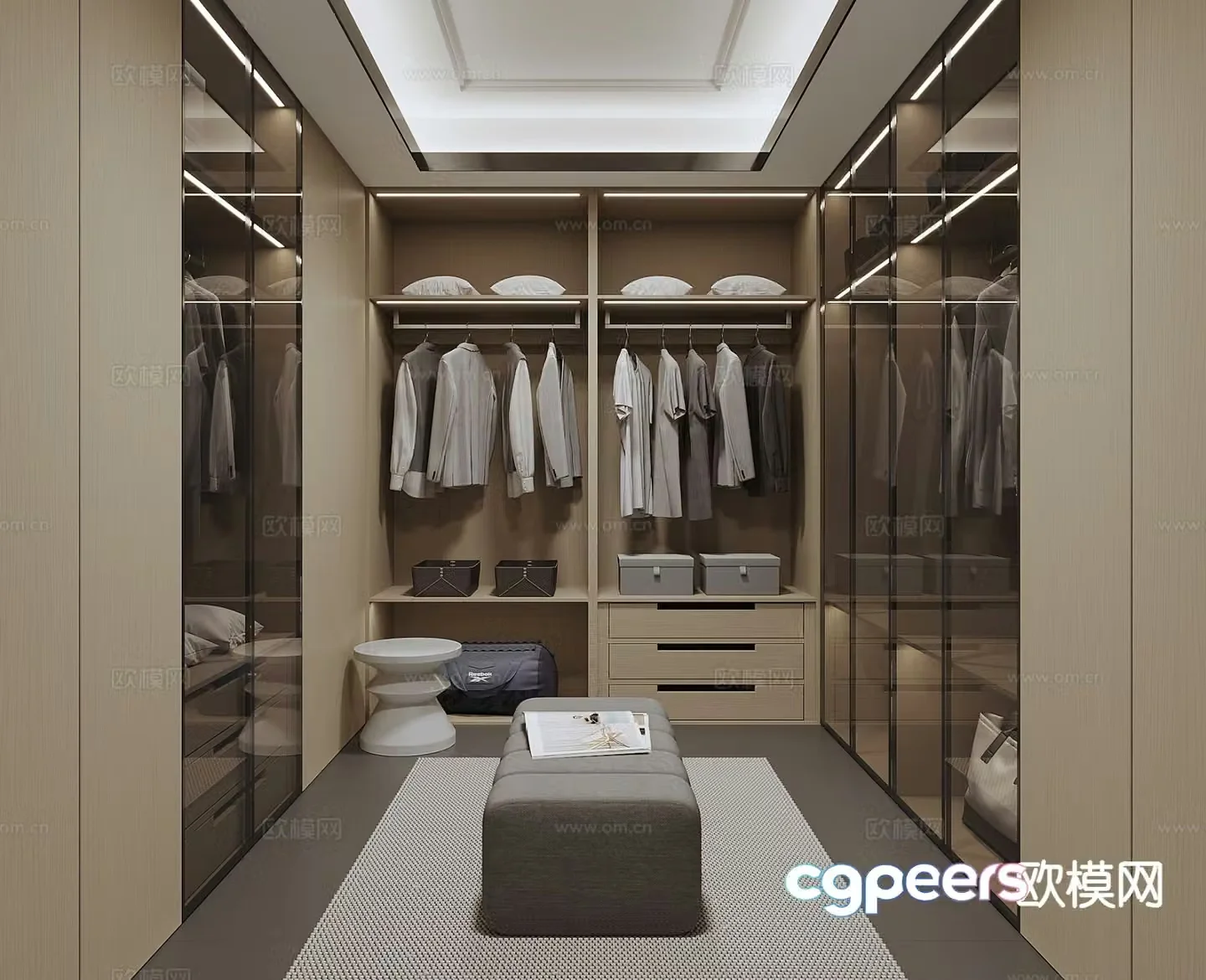 Modern cloakroom 3d model