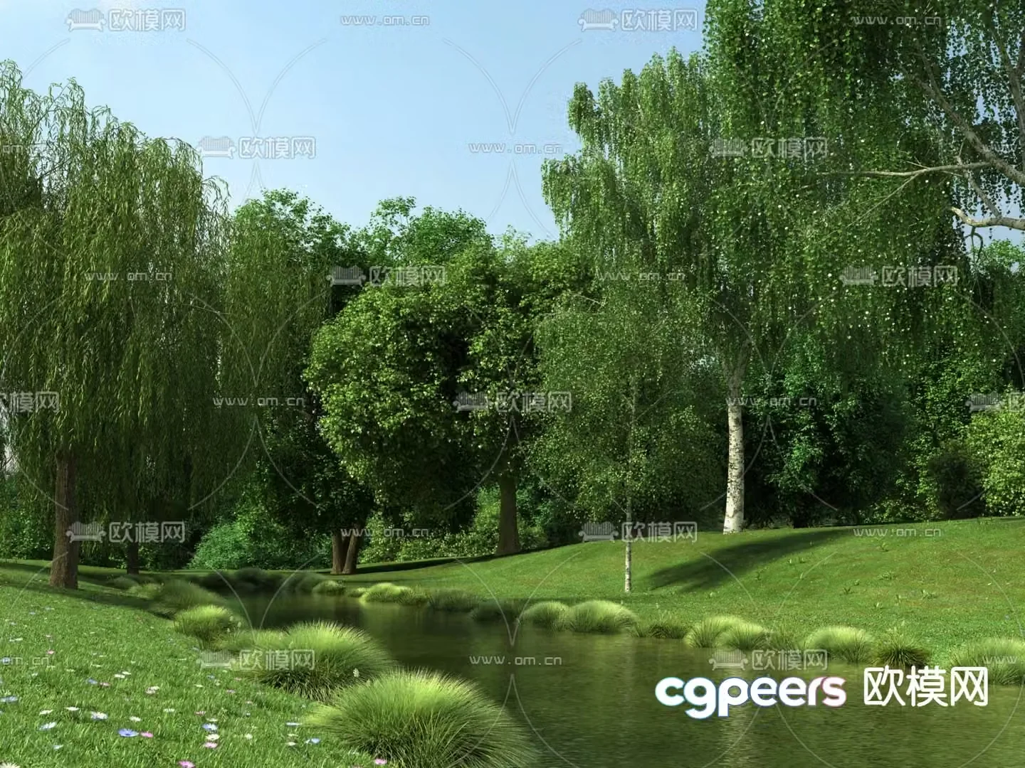 Wetland Park Forest Park 3d model