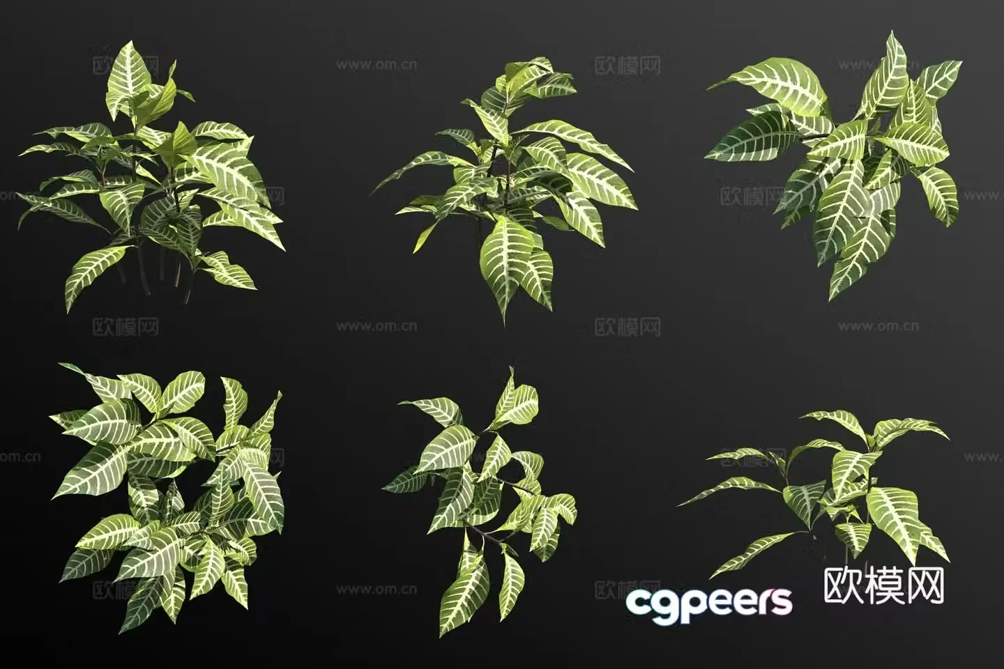 3D model of silver veined bed green plants and flowers