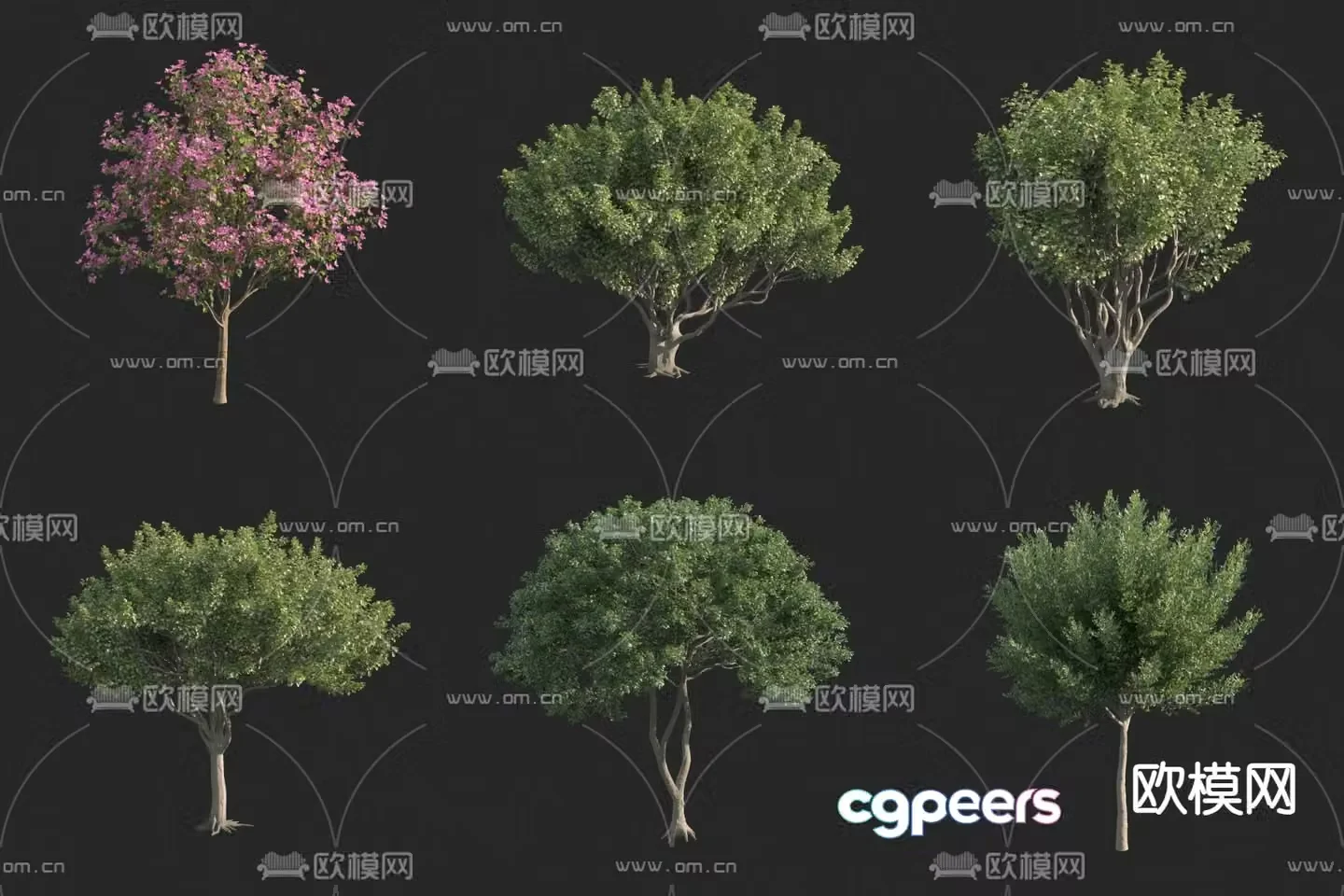 Flower Tree Red Flower Sheep Armor Bauhinia Landscape Tree 3D Model