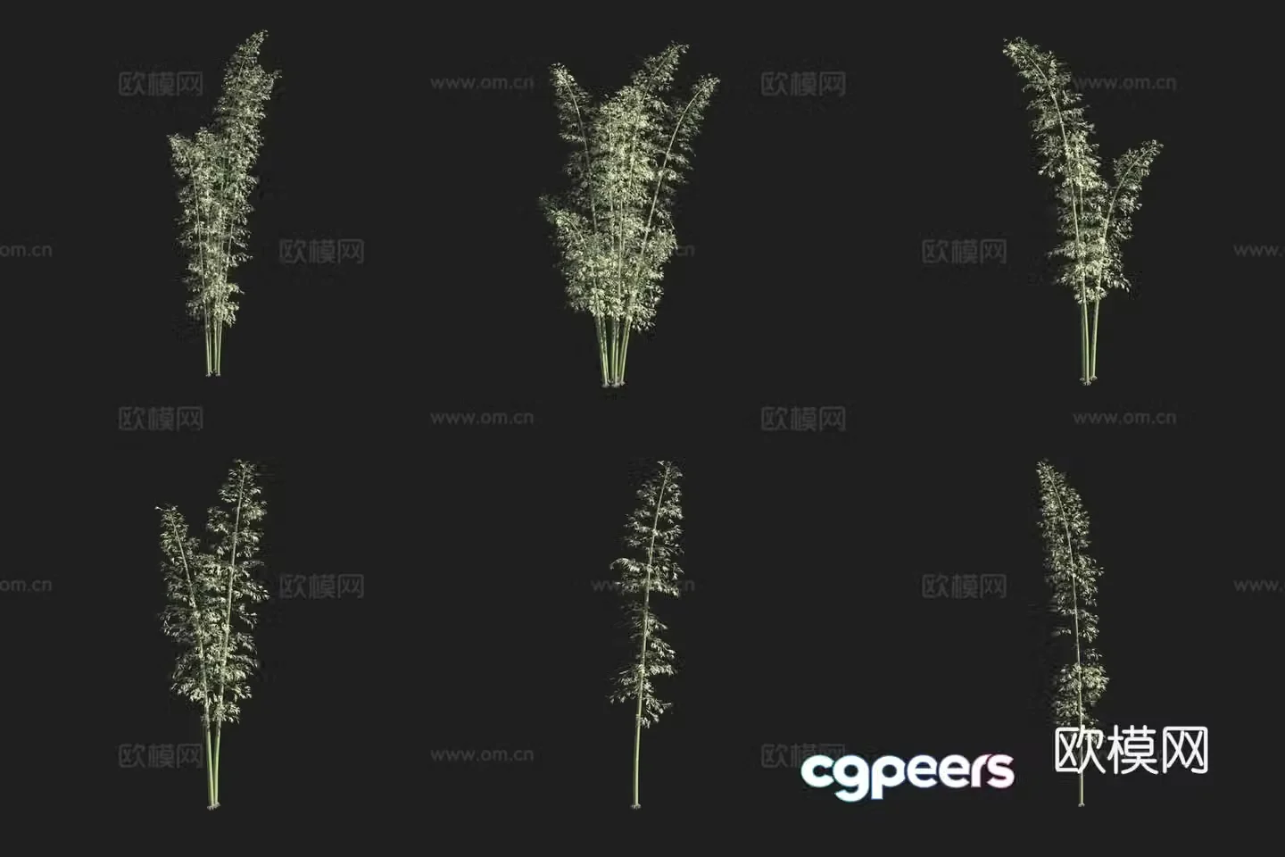 Bamboo forest osmanthus 3d model