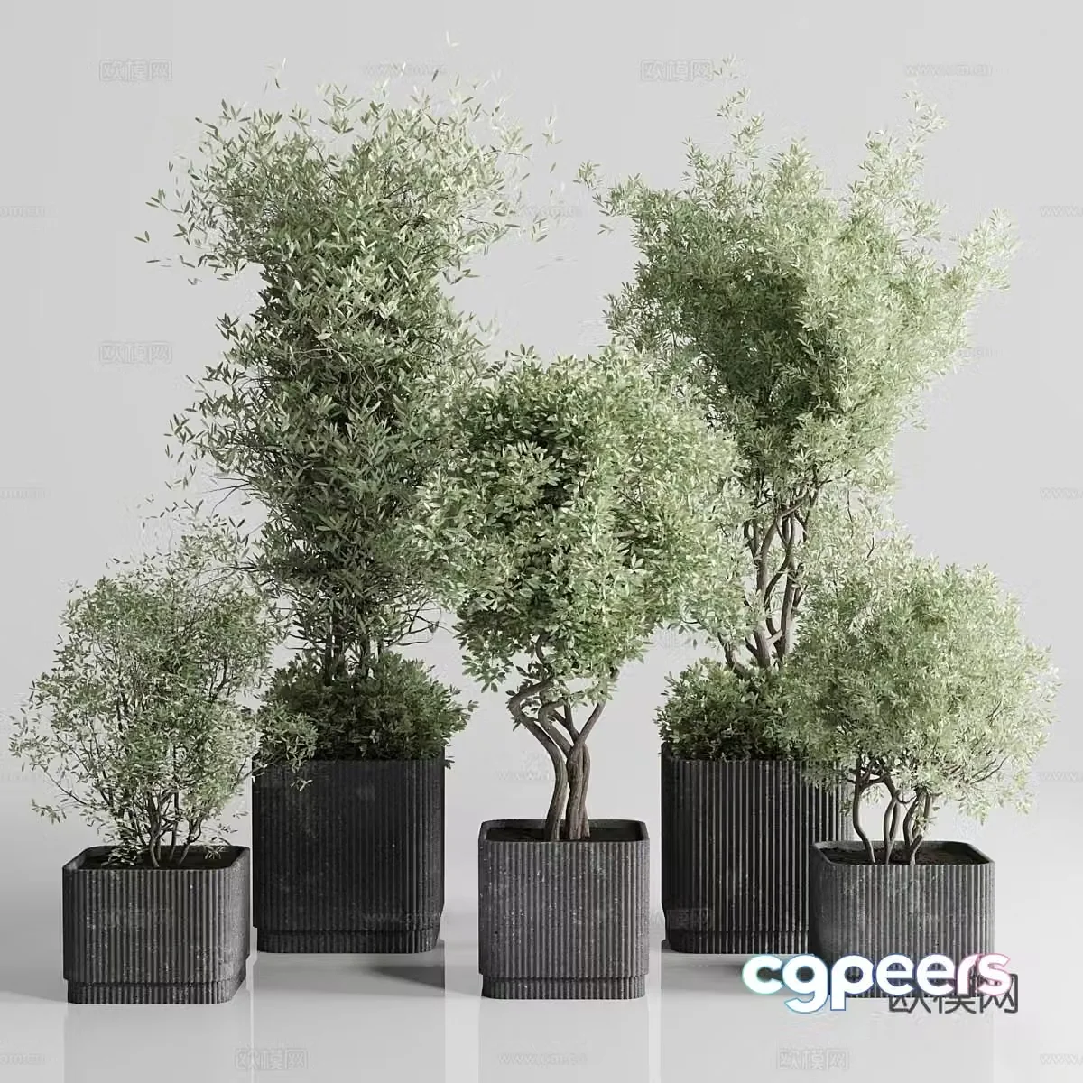New Chinese green plant bonsai pot 3D model